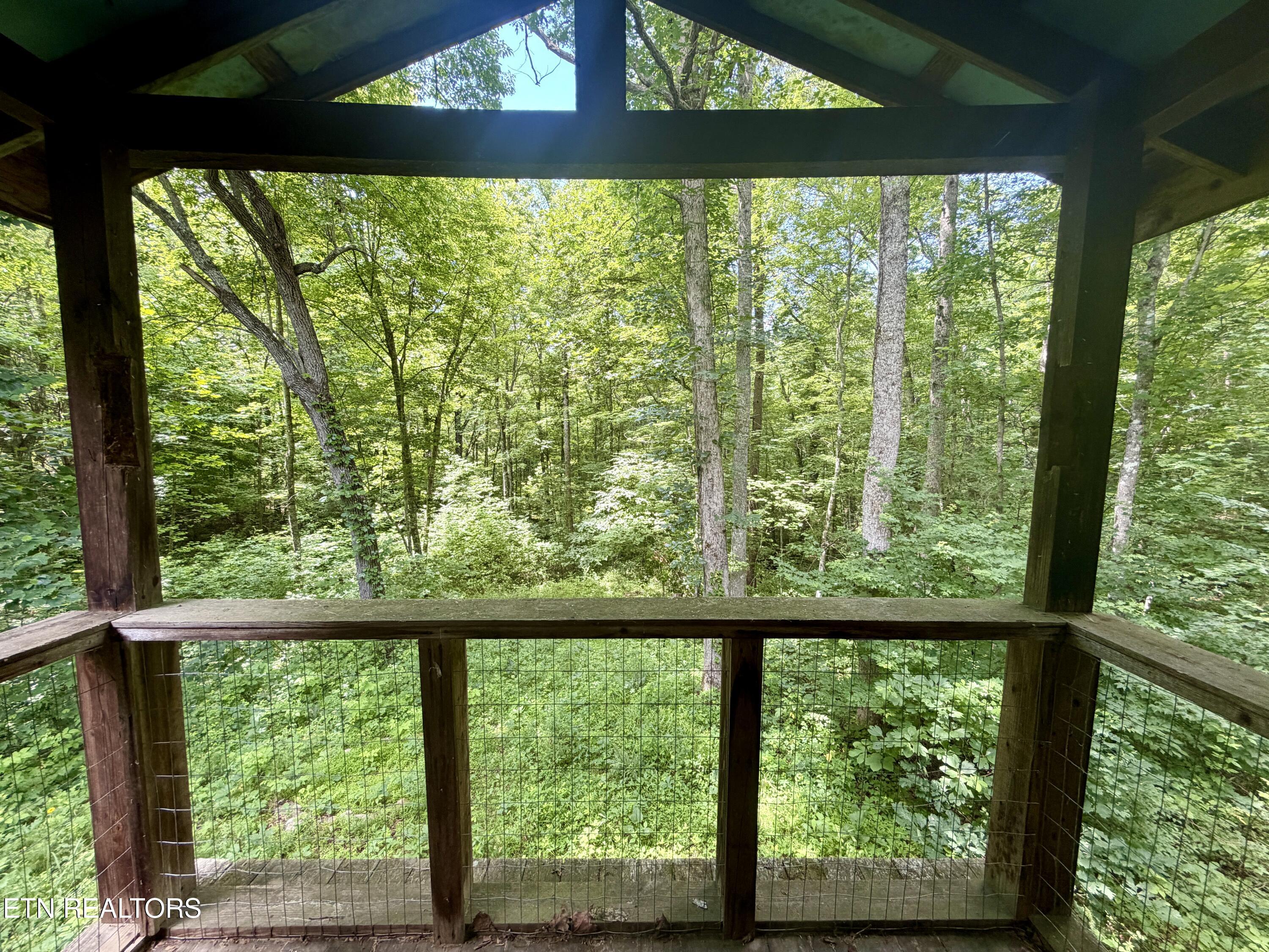402 Paradise Lane Deer Lodge TN 37726