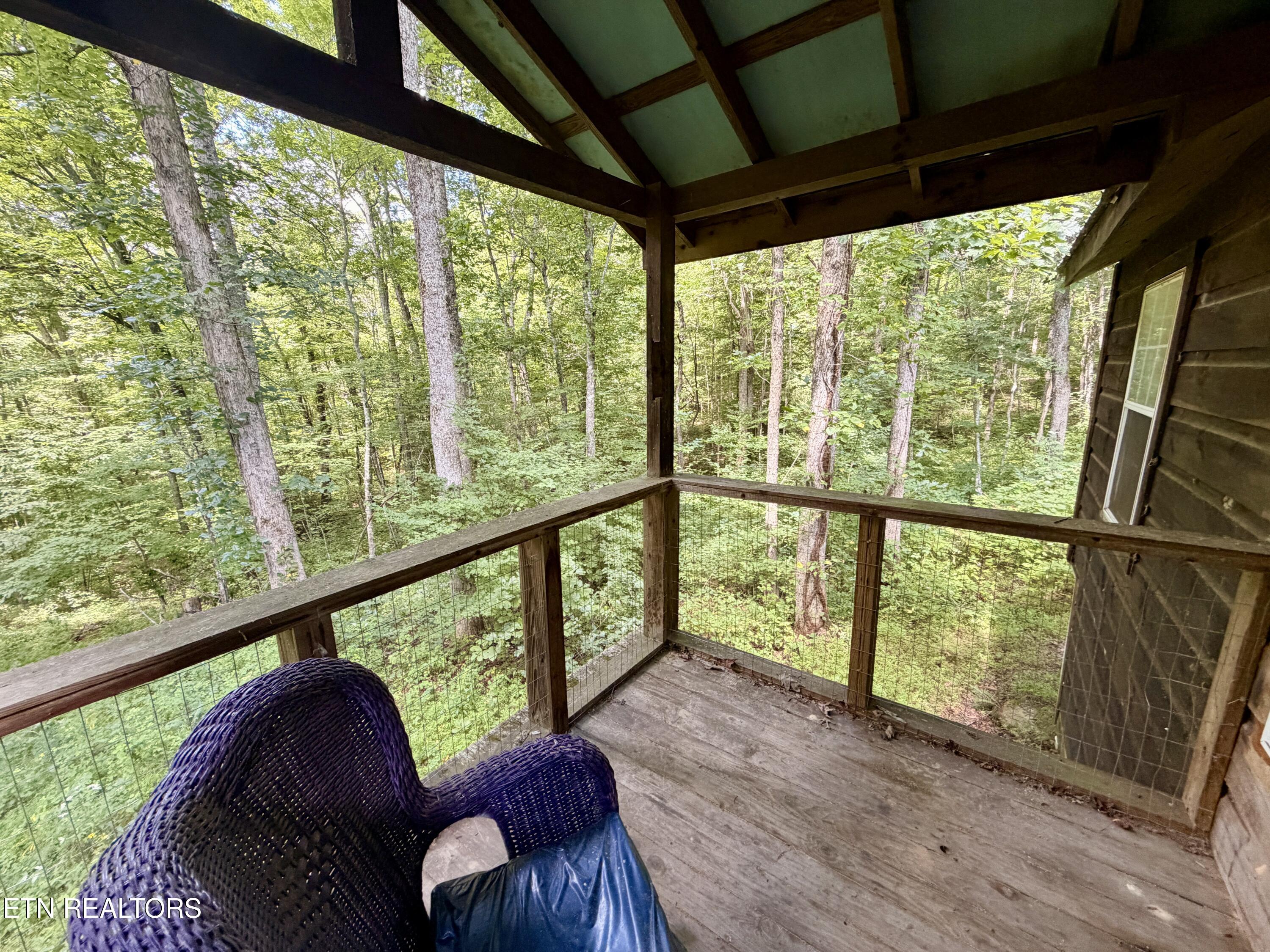 402 Paradise Lane Deer Lodge TN 37726