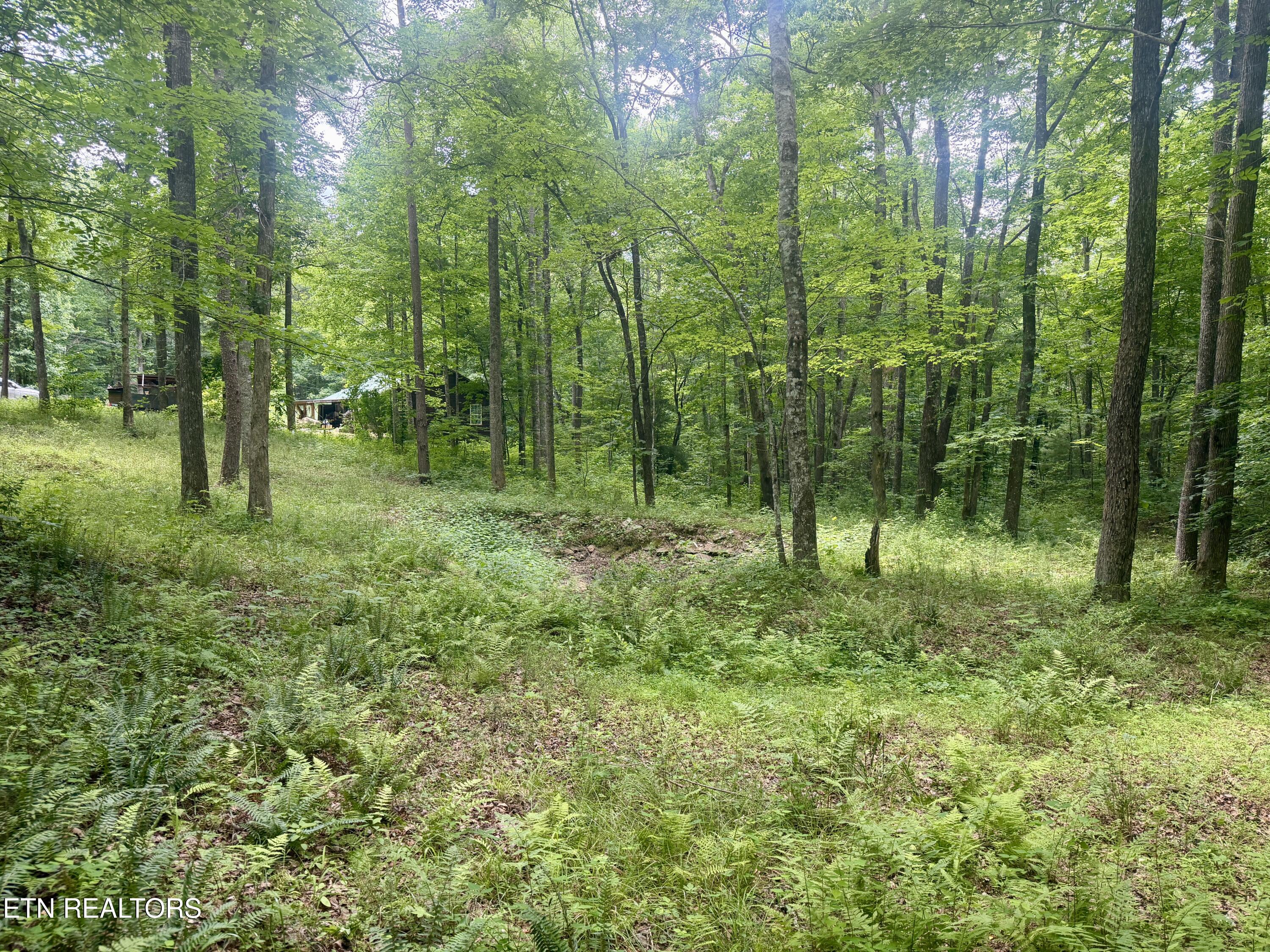 402 Paradise Lane Deer Lodge TN 37726
