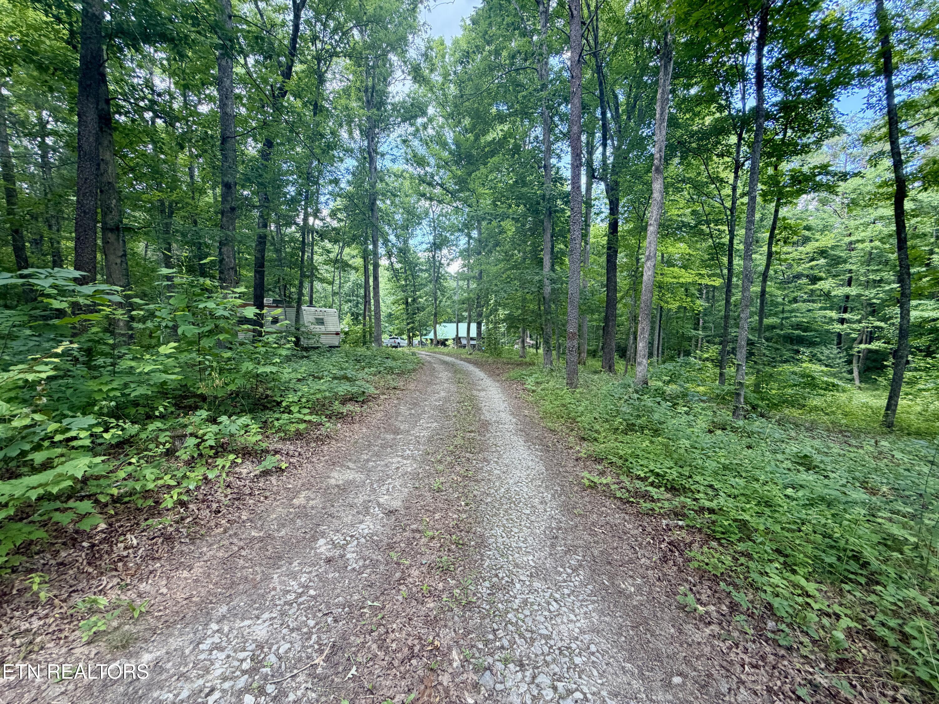 402 Paradise Lane Deer Lodge TN 37726
