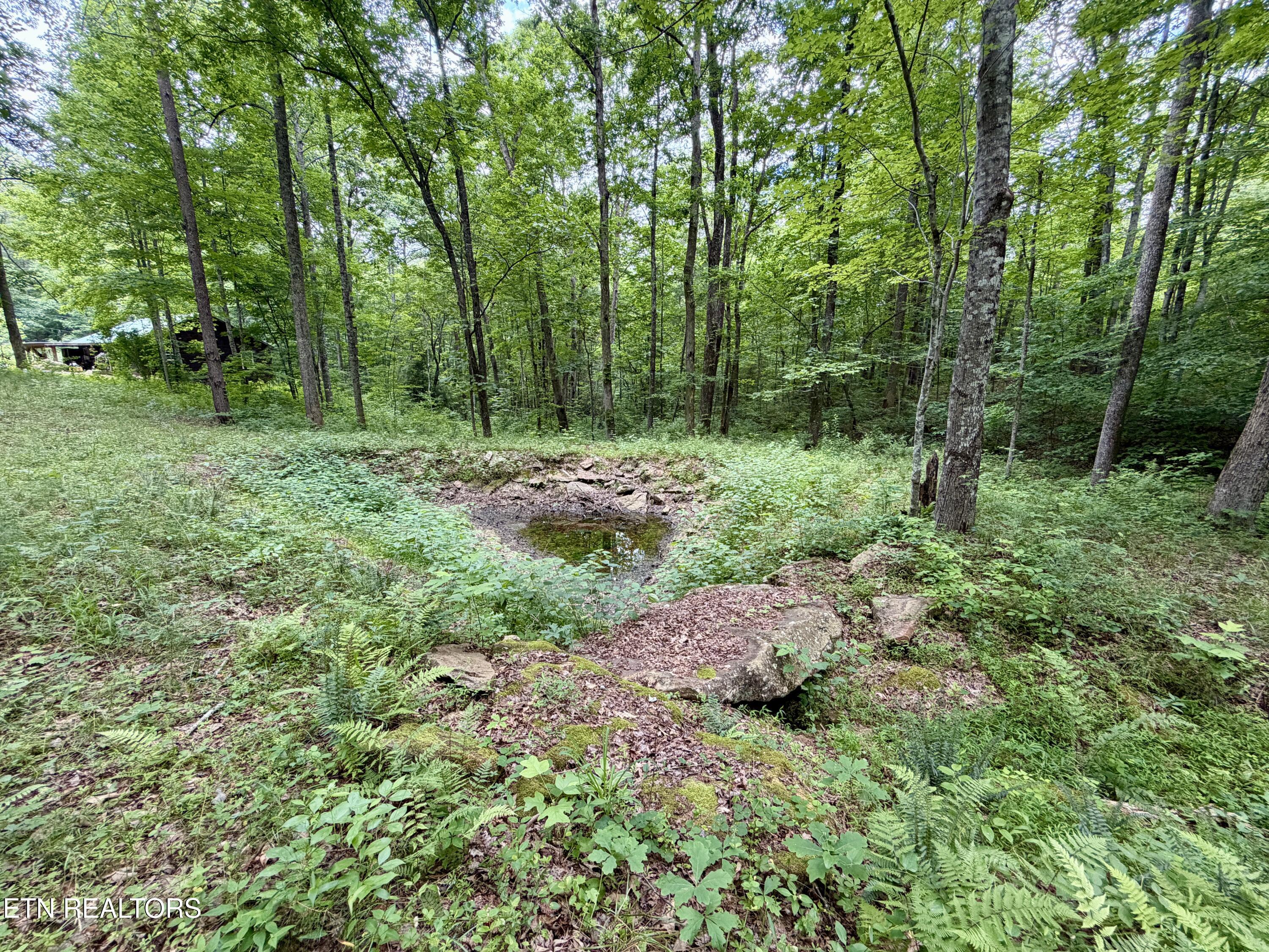 402 Paradise Lane Deer Lodge TN 37726