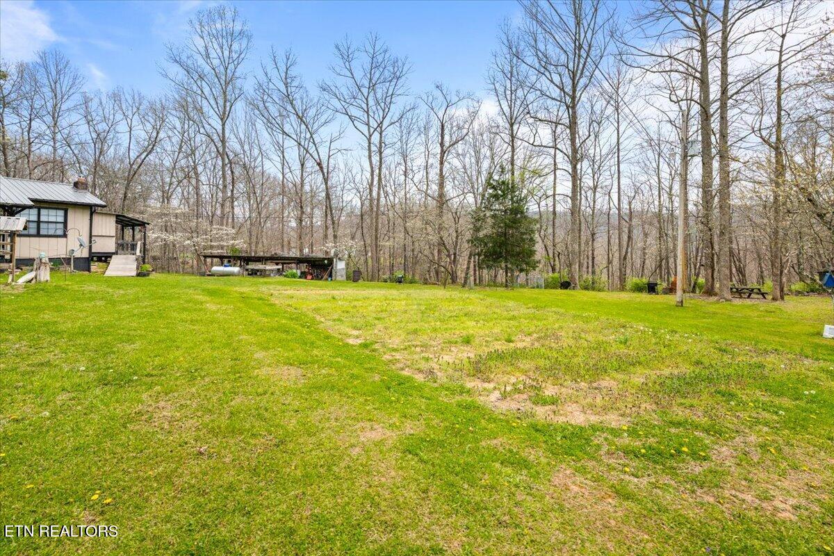 439 Rogerston Road Clairfield TN 37715