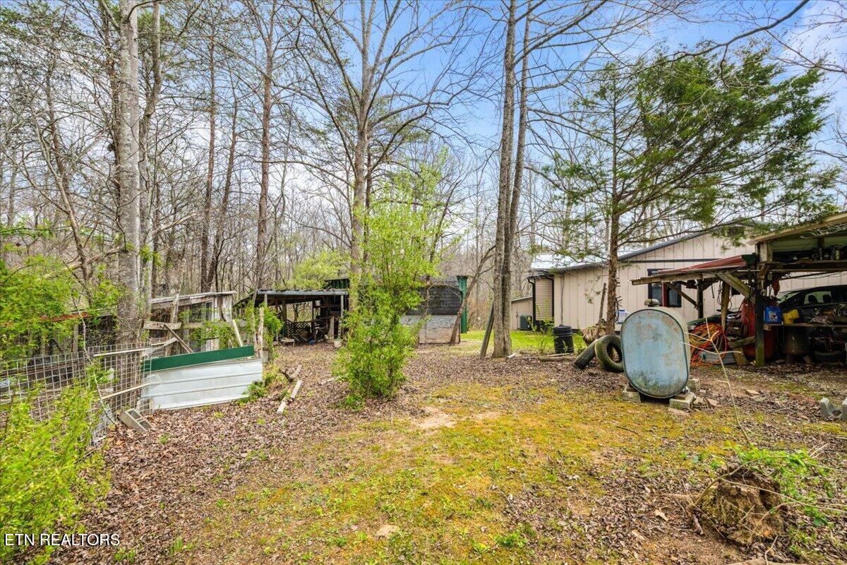439 Rogerston Road Clairfield TN 37715