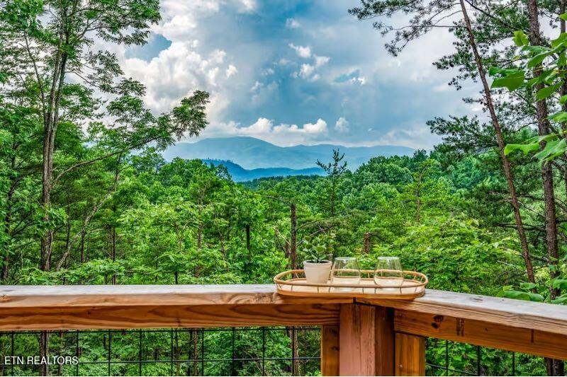 712 Octagon Drive Gatlinburg TN 37738