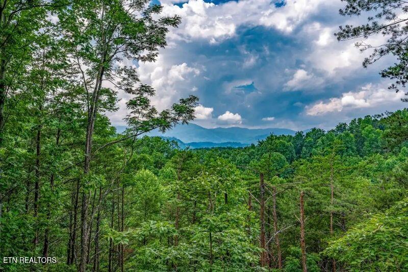 712 Octagon Drive Gatlinburg TN 37738