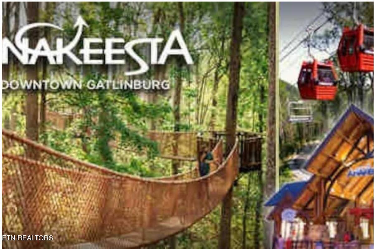 1424 Zurich Road Gatlinburg TN 37738