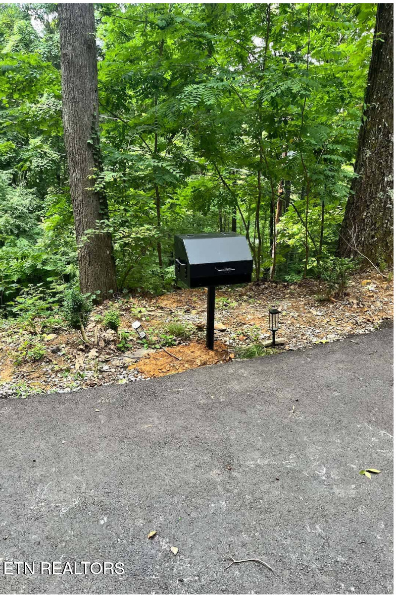 1424 Zurich Road Gatlinburg TN 37738
