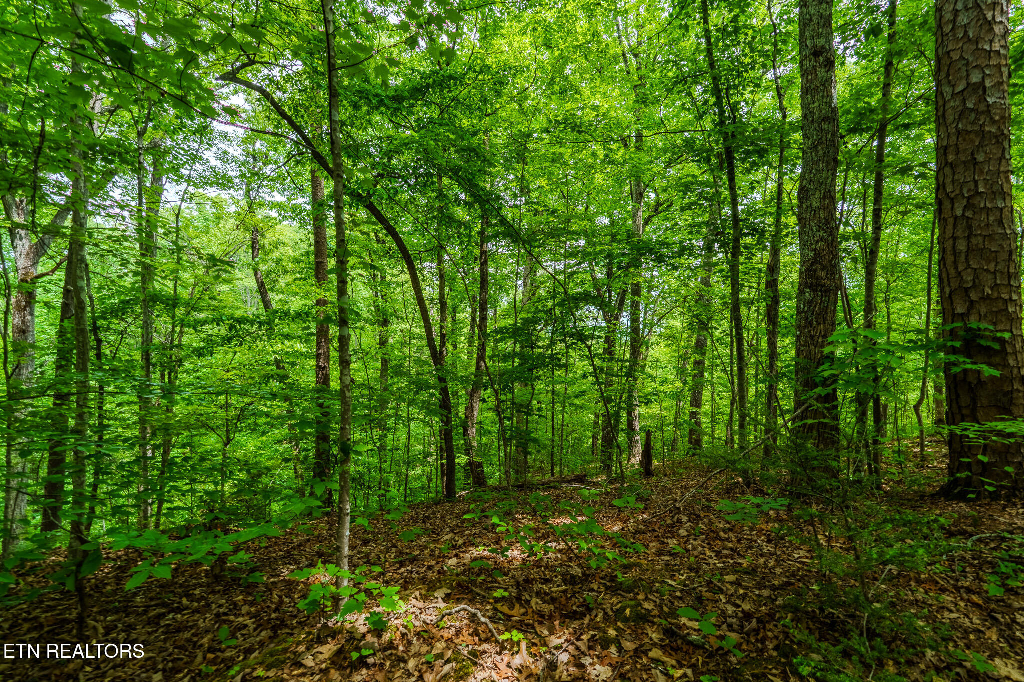 1056 Dudley Drive Sevierville TN 37876