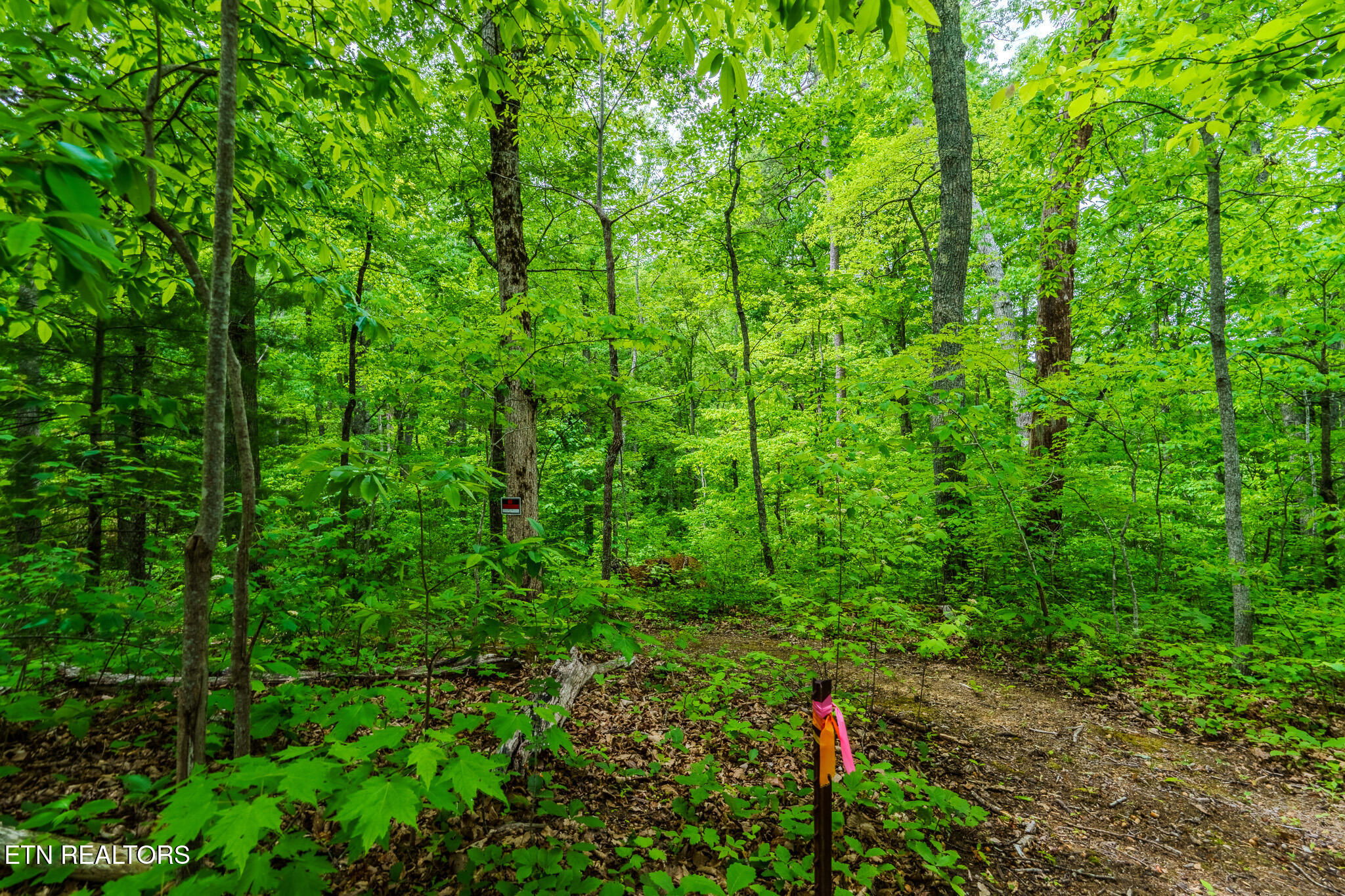 1056 Dudley Drive Sevierville TN 37876