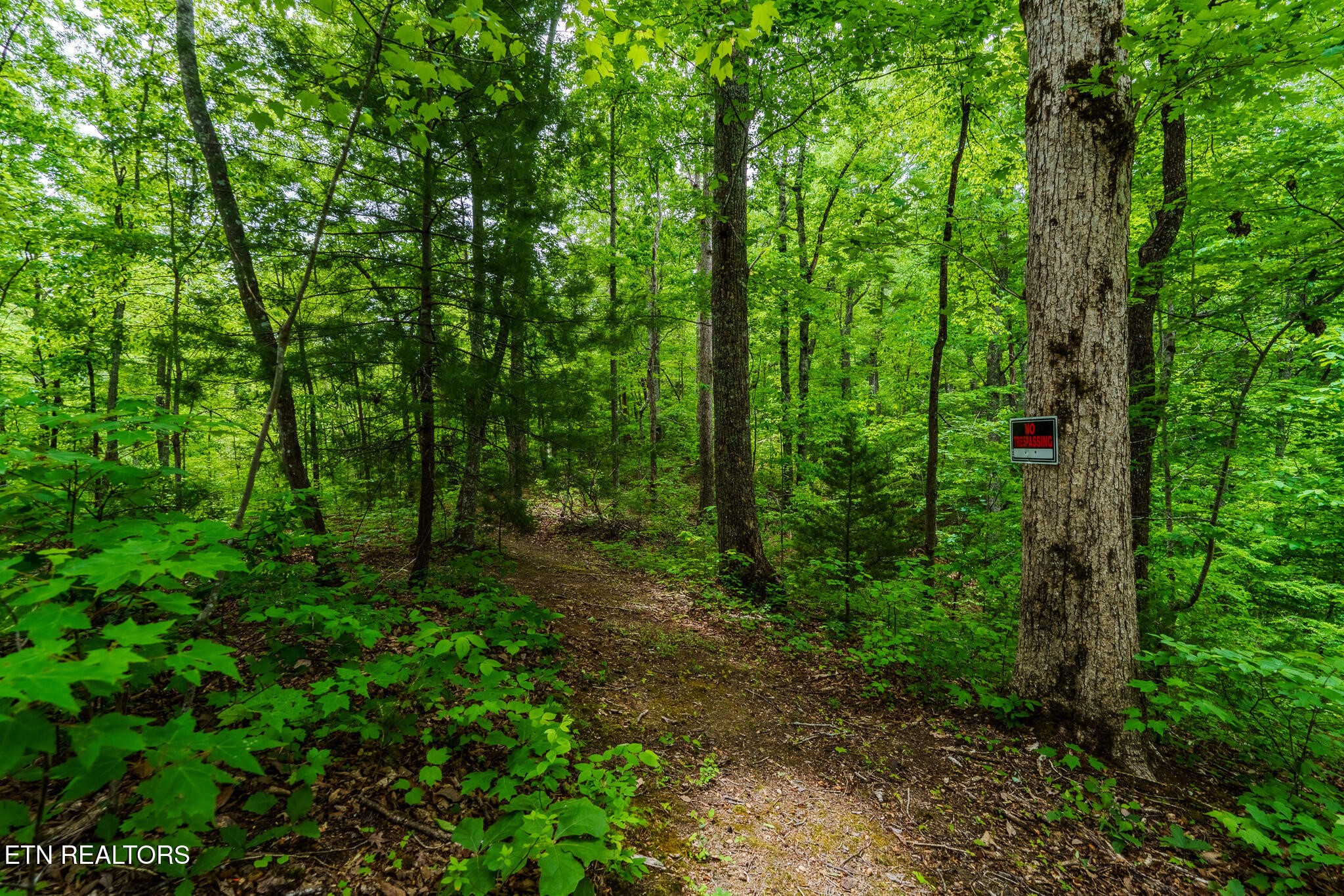 1056 Dudley Drive Sevierville TN 37876