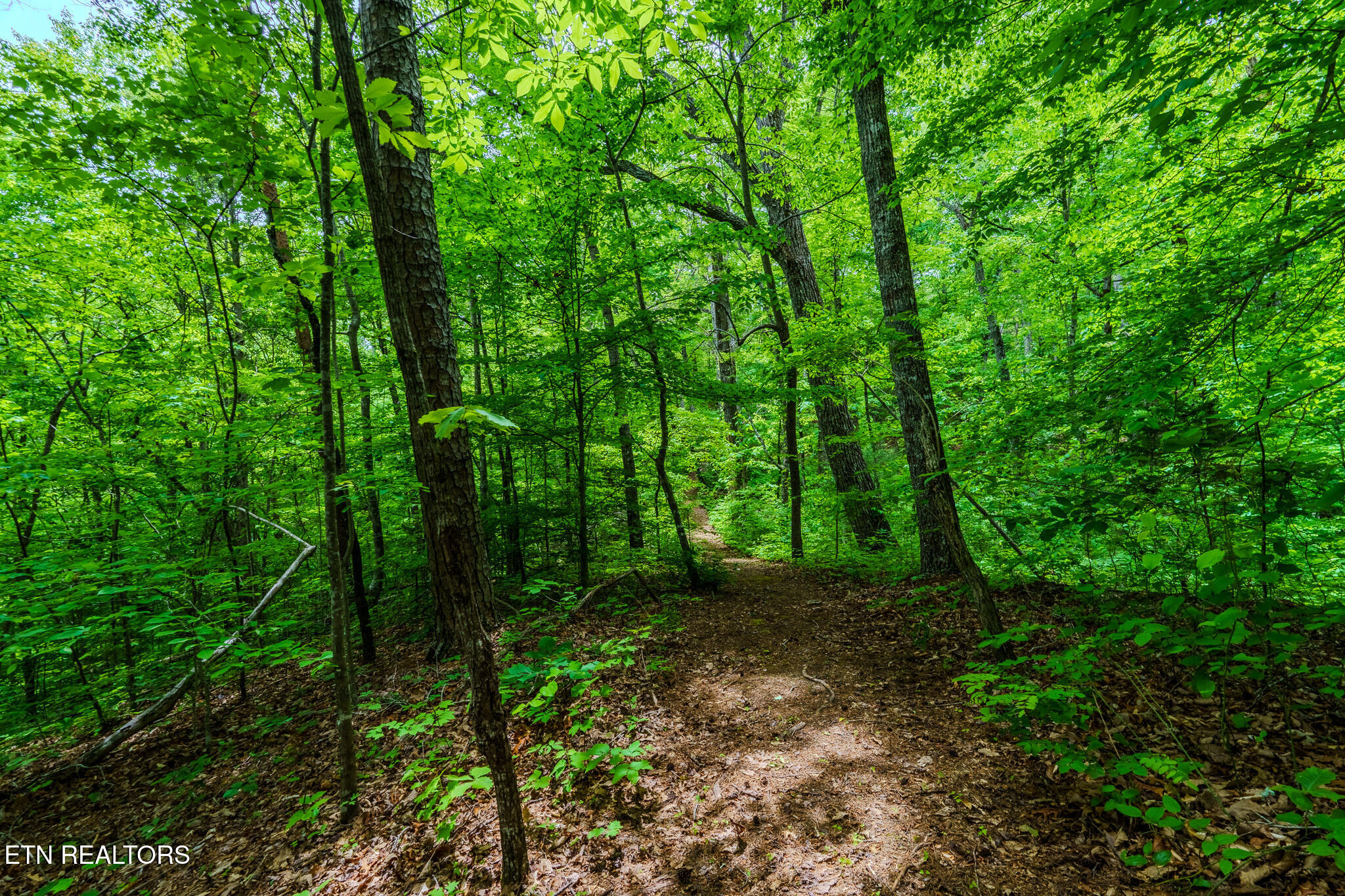 1056 Dudley Drive Sevierville TN 37876