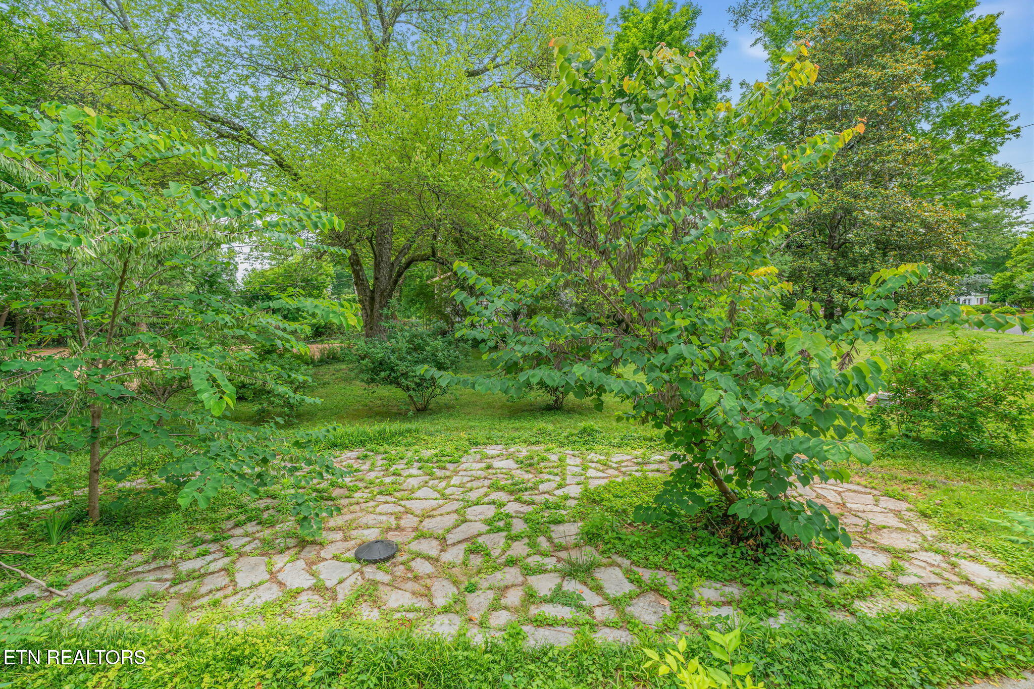 726 Scenic Drive Knoxville TN 37919