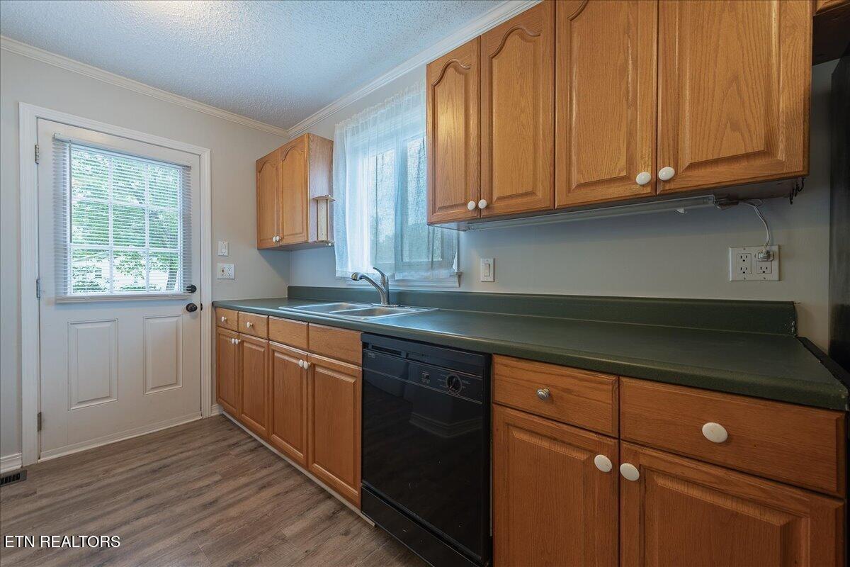 2104 N Park Boulevard Knoxville TN 37917