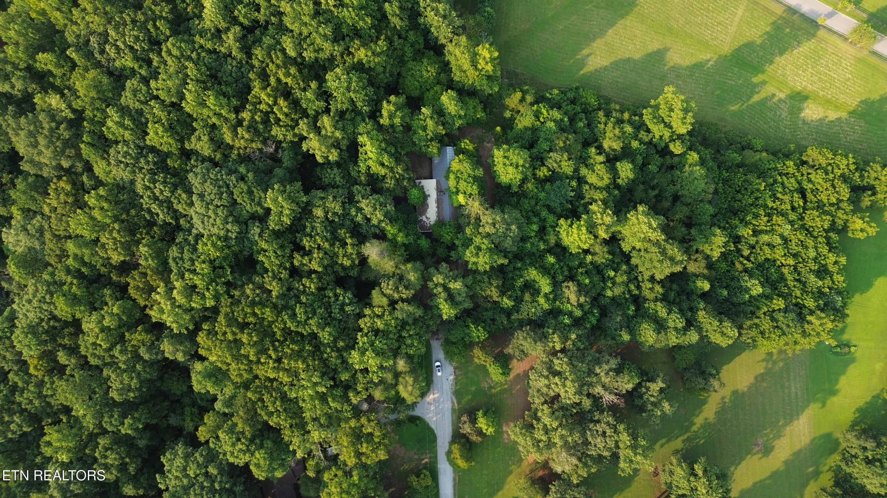 276 Oak Drive Spring City TN 37381