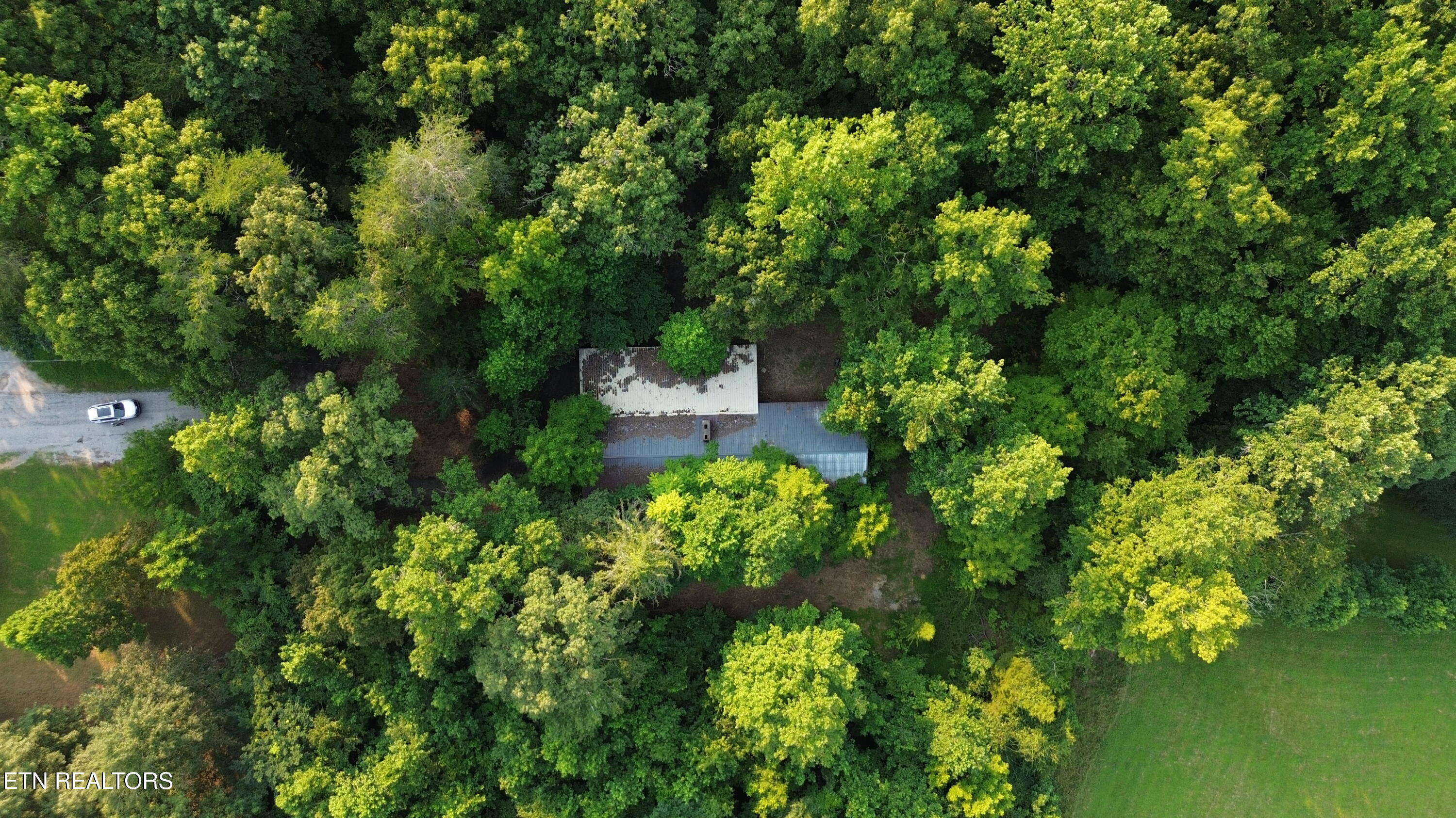 276 Oak Drive Spring City TN 37381