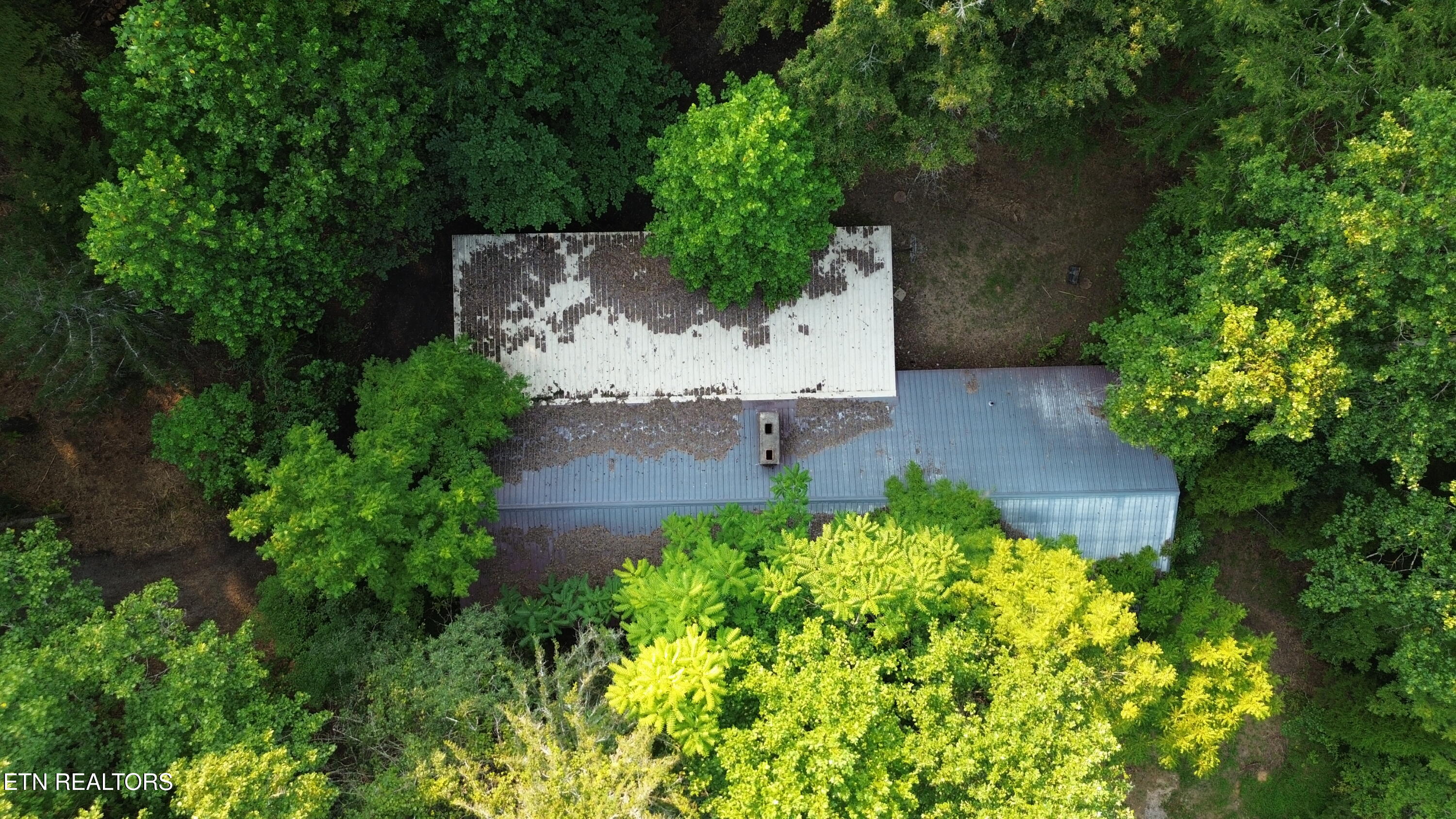 276 Oak Drive Spring City TN 37381