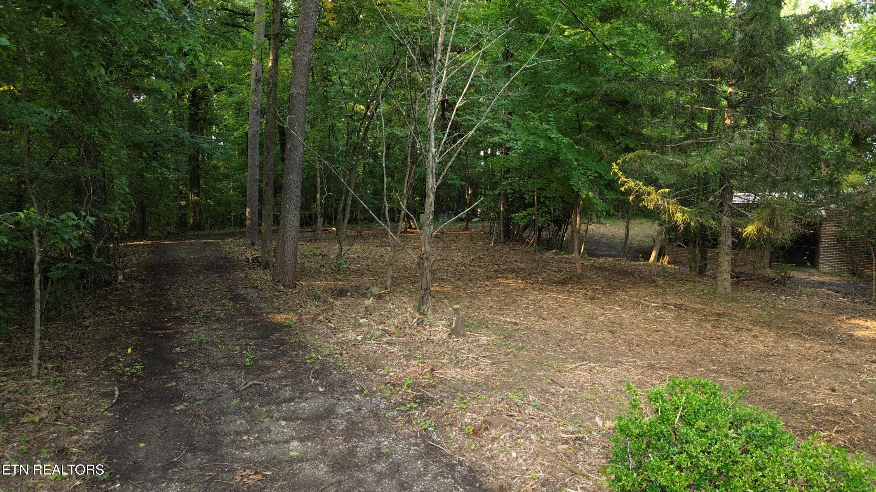 276 Oak Drive Spring City TN 37381
