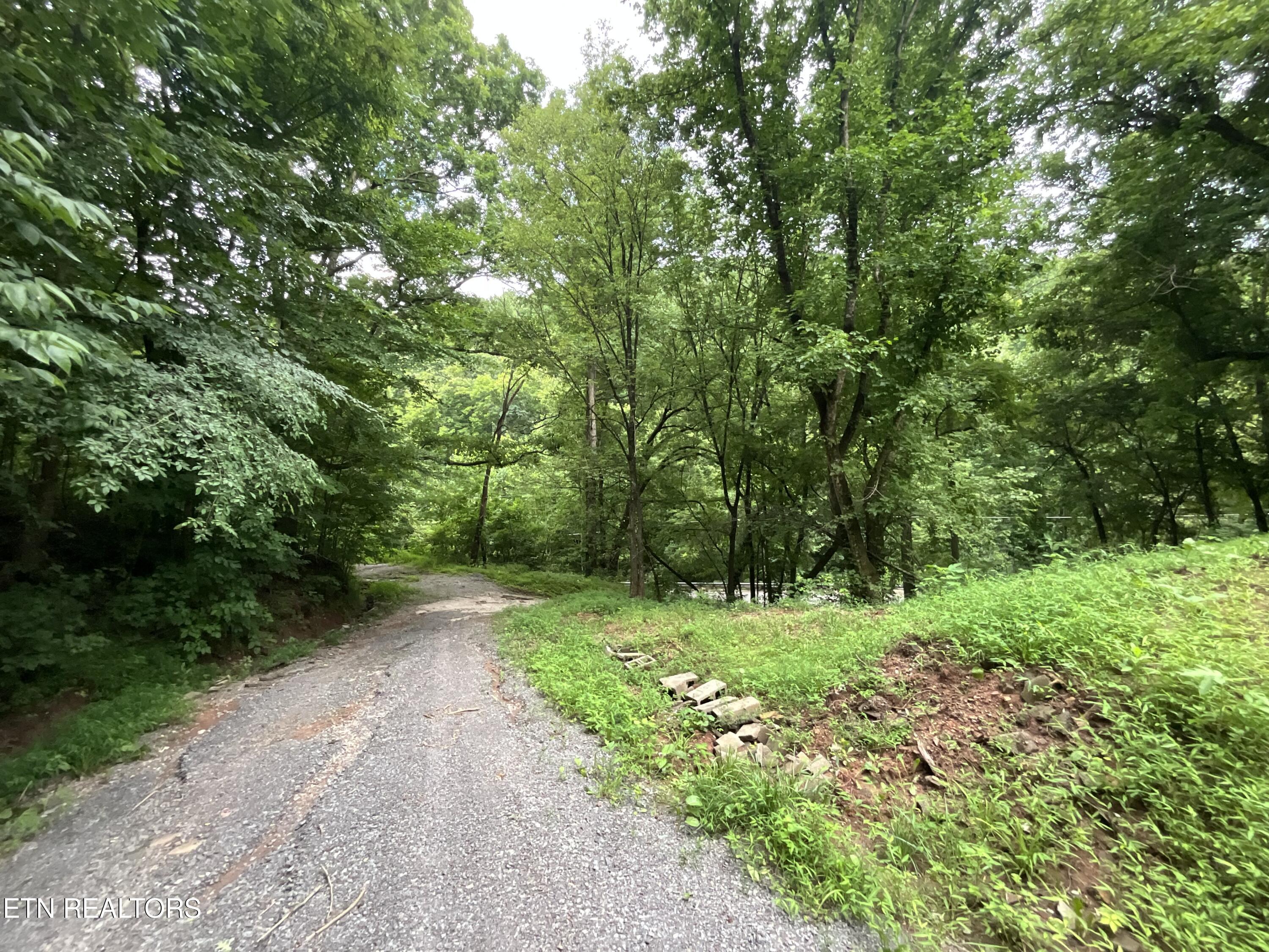 3900 Roberts Road Corryton TN 37721