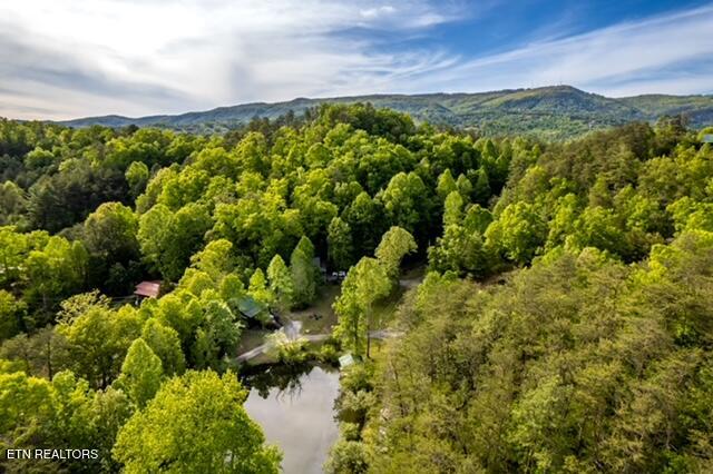 2148 Little Valley Road Sevierville TN 37862
