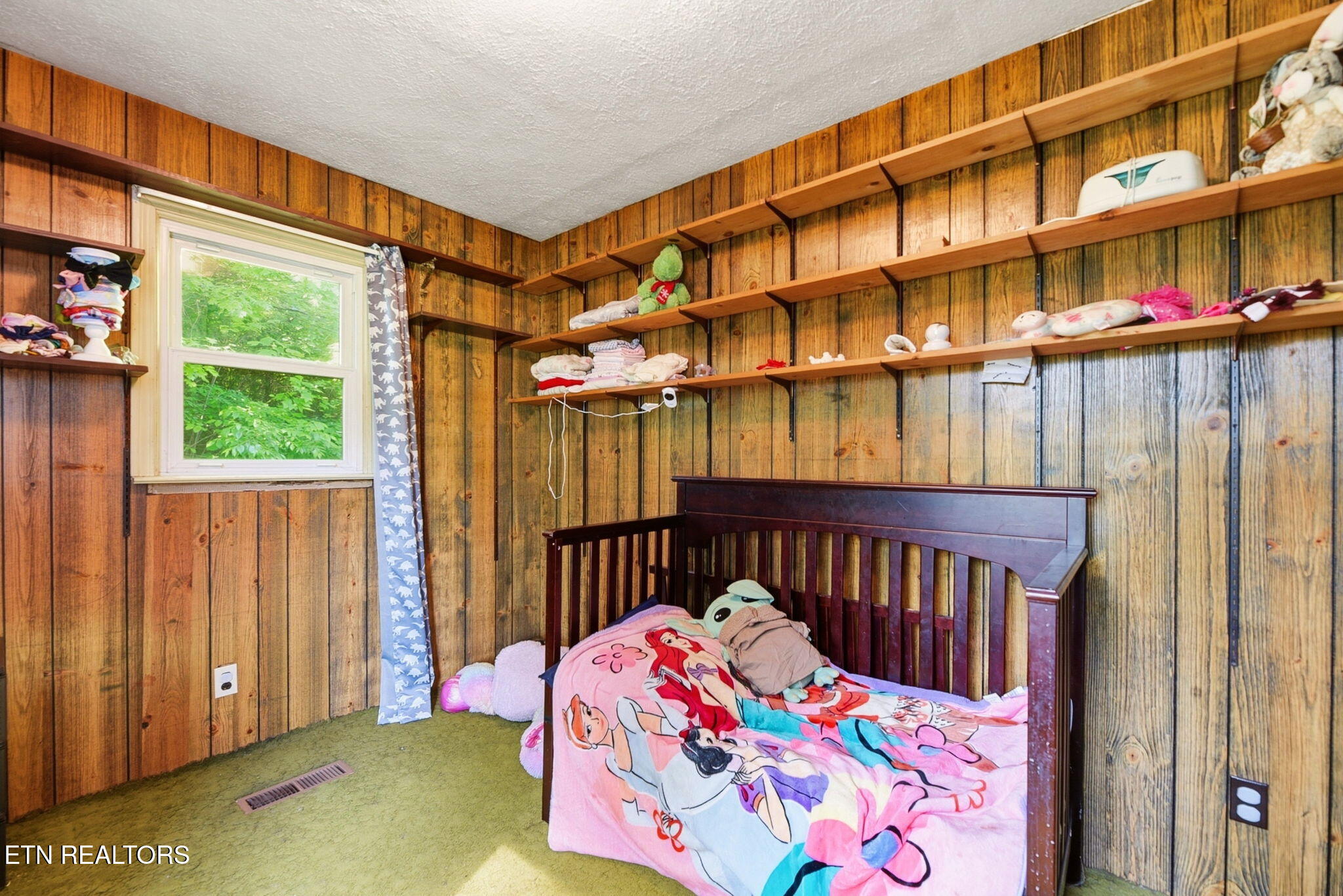130 Sunshine Drive Rocky Top TN 37769
