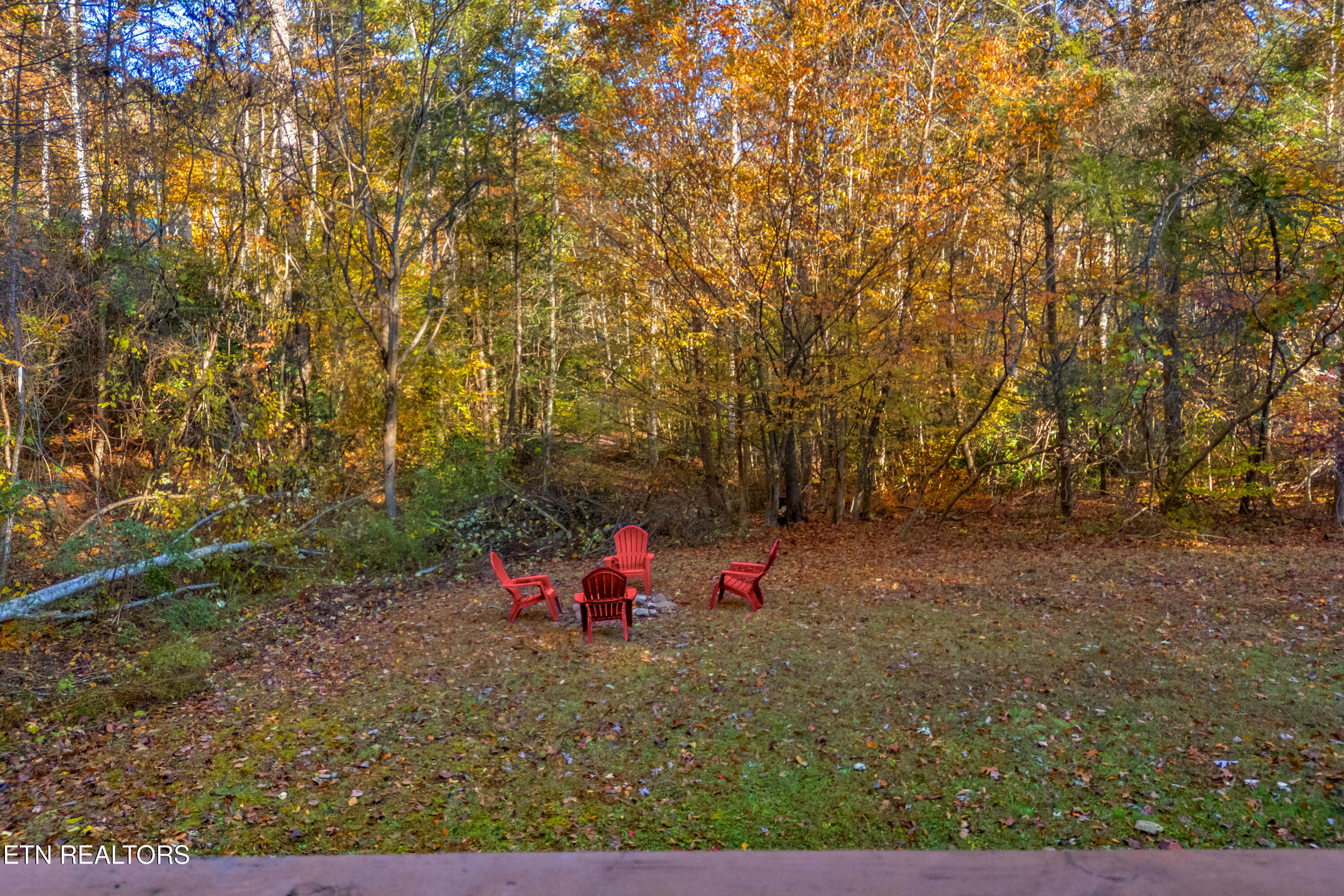 3391 Laurelwood Road Cosby TN 37722