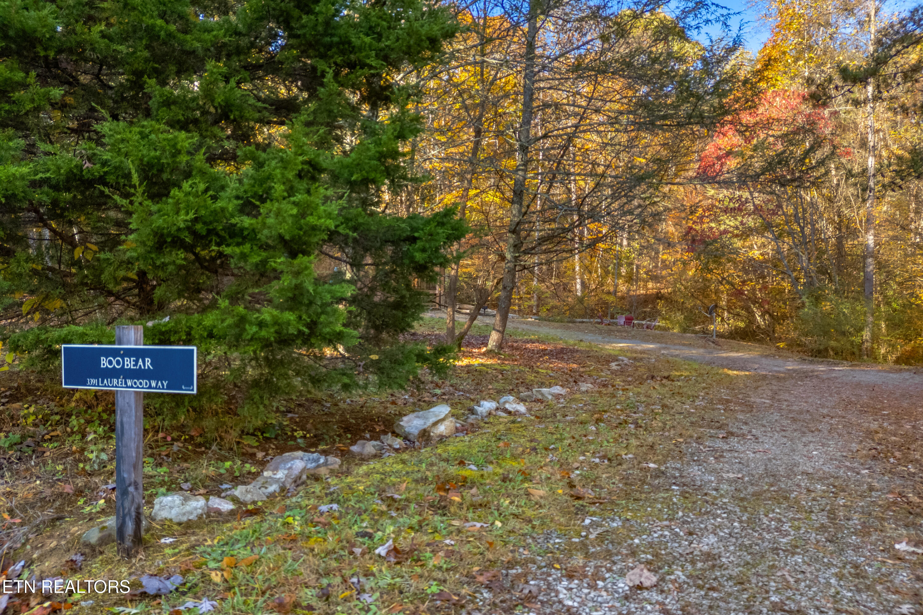 3391 Laurelwood Road Cosby TN 37722