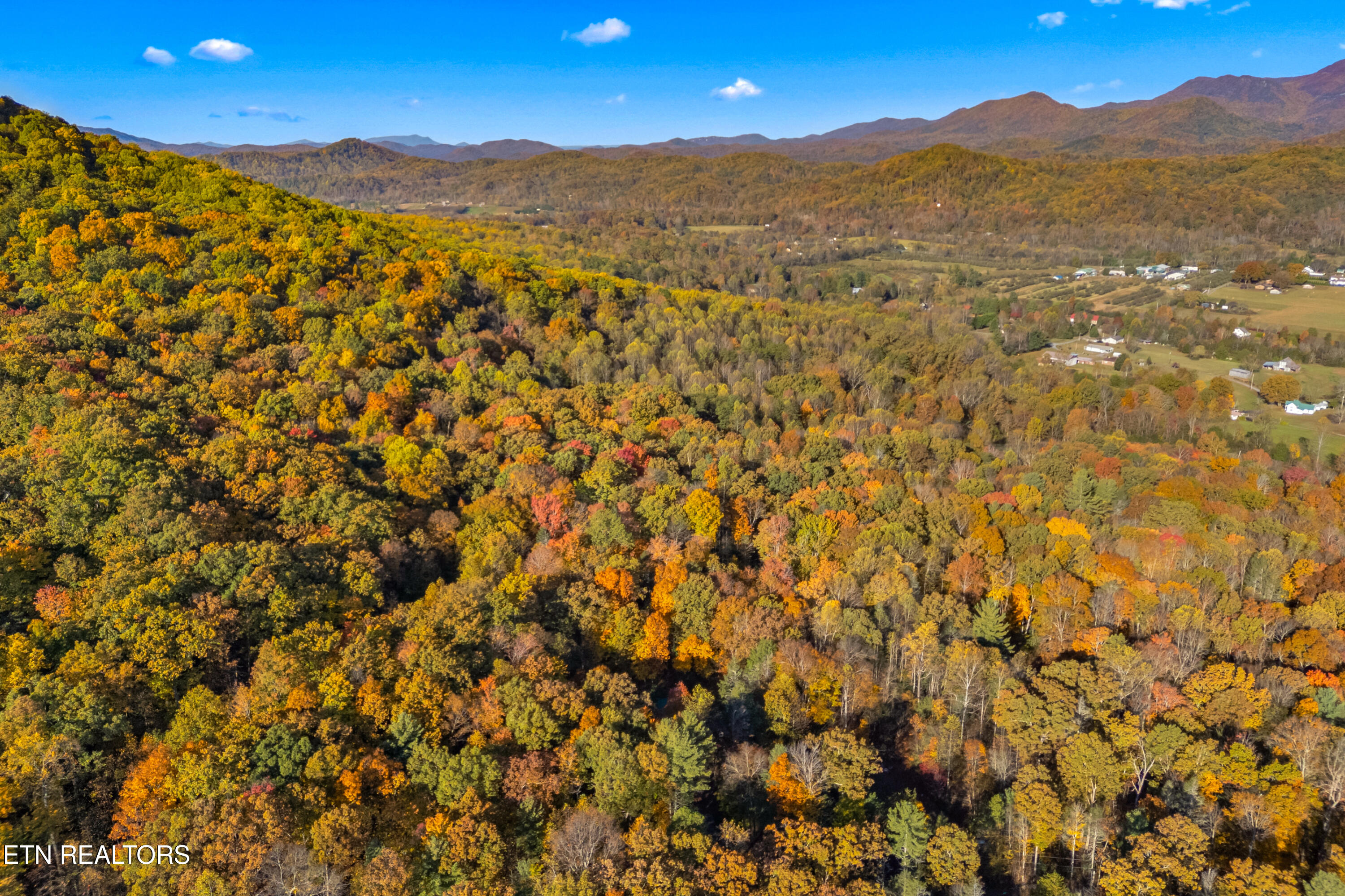 3391 Laurelwood Road Cosby TN 37722