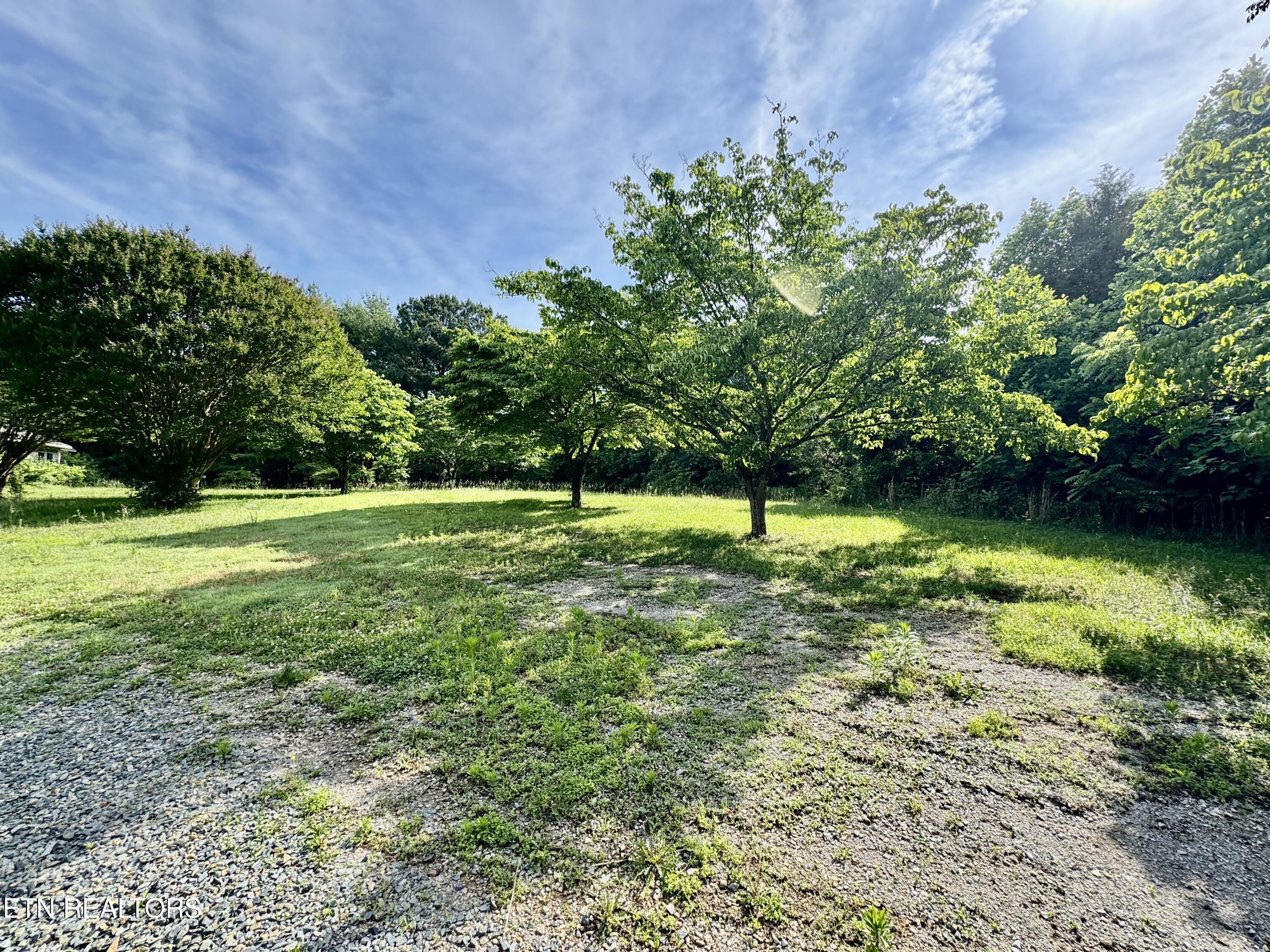 529 Peanut Road Parrottsville TN 37843