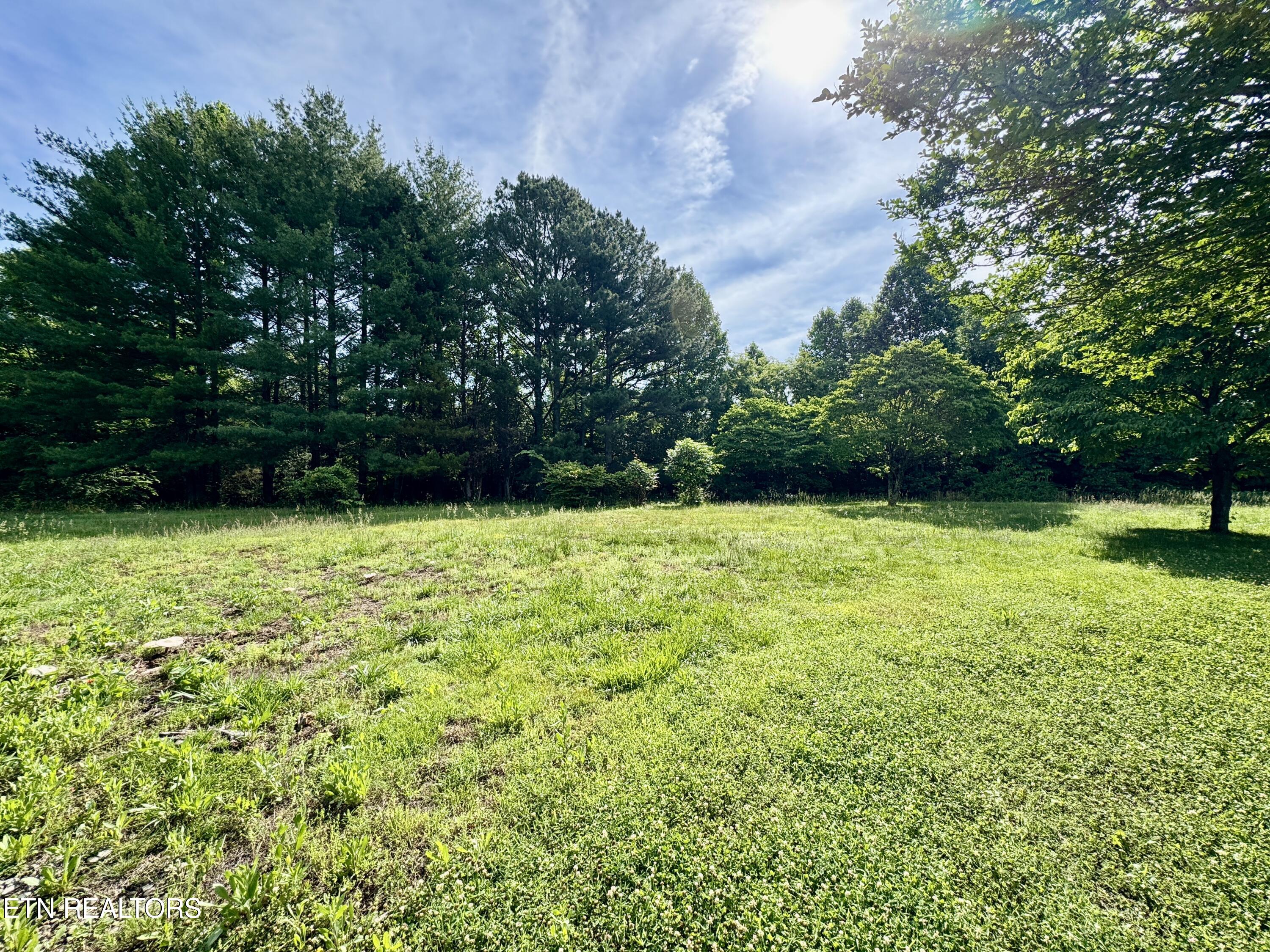 529 Peanut Road Parrottsville TN 37843