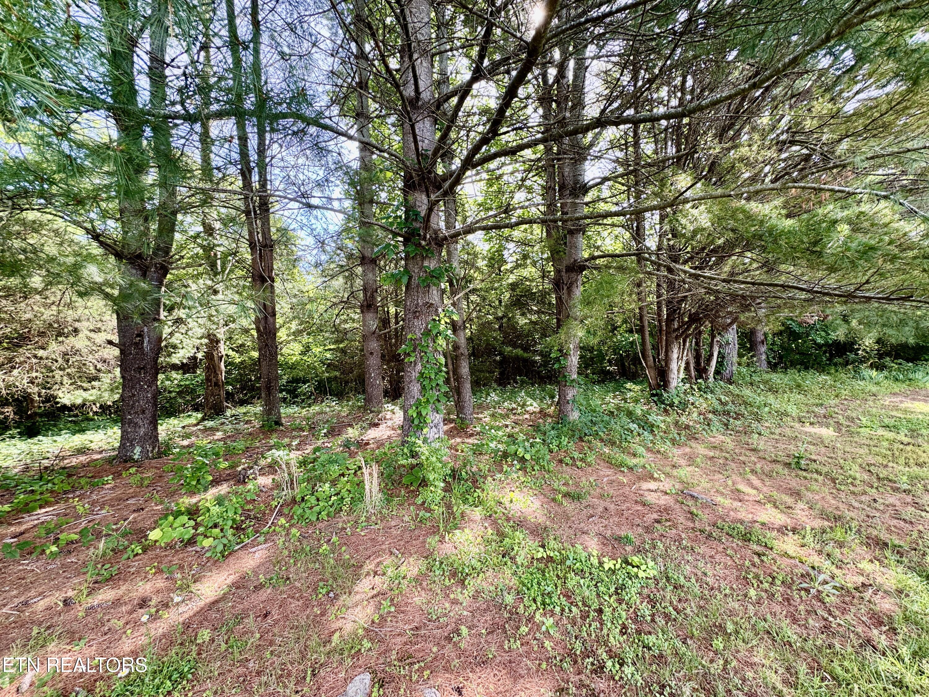 529 Peanut Road Parrottsville TN 37843