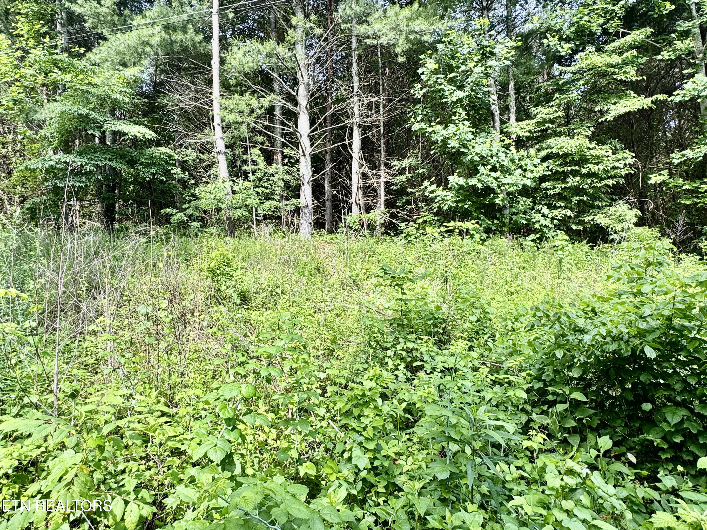 529 Peanut Road Parrottsville TN 37843