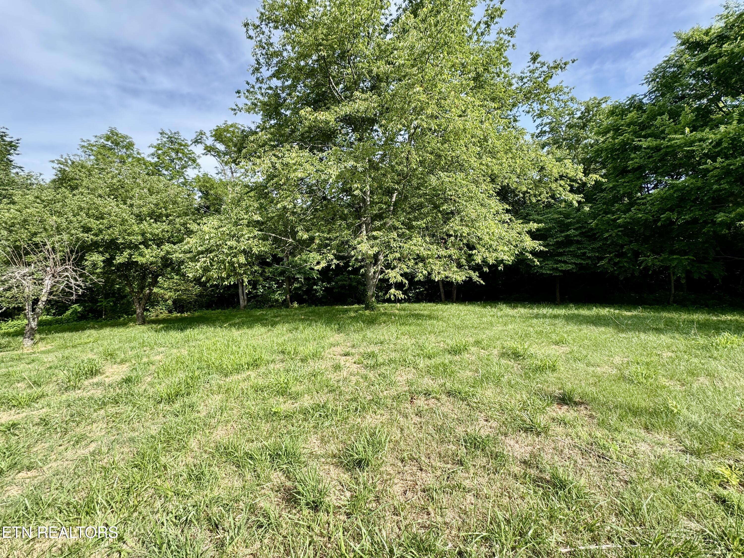 529 Peanut Road Parrottsville TN 37843