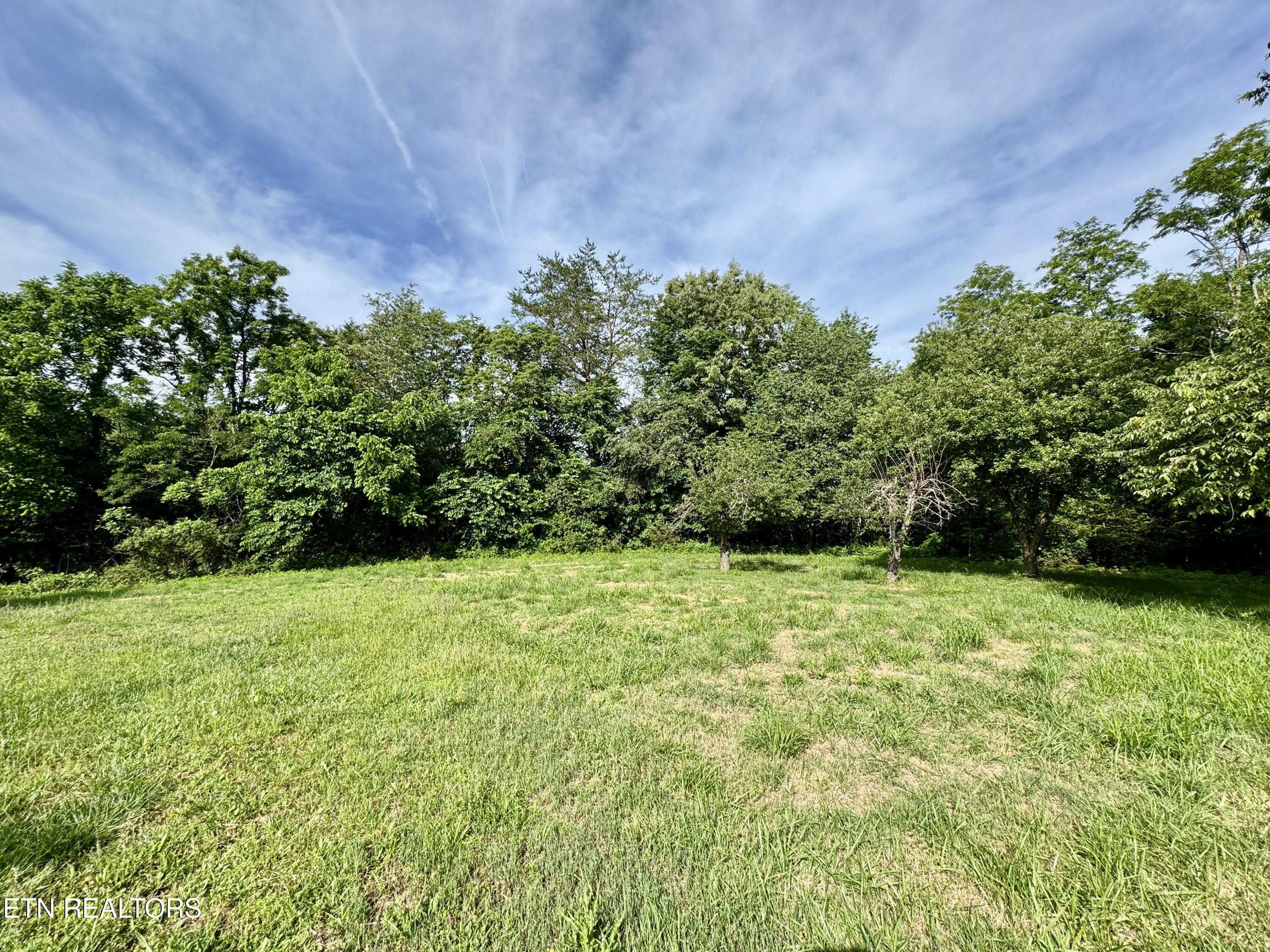 529 Peanut Road Parrottsville TN 37843