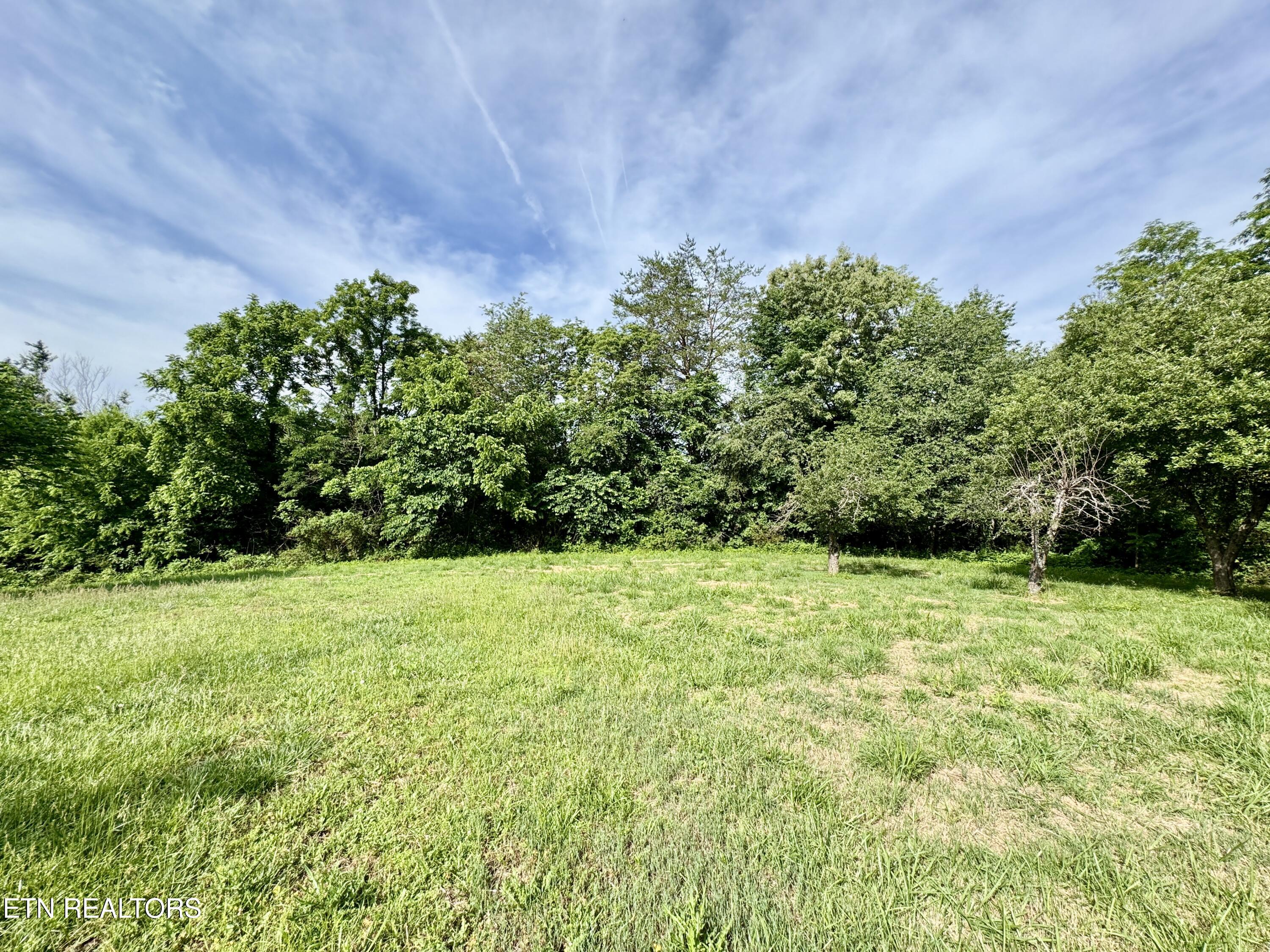 529 Peanut Road Parrottsville TN 37843