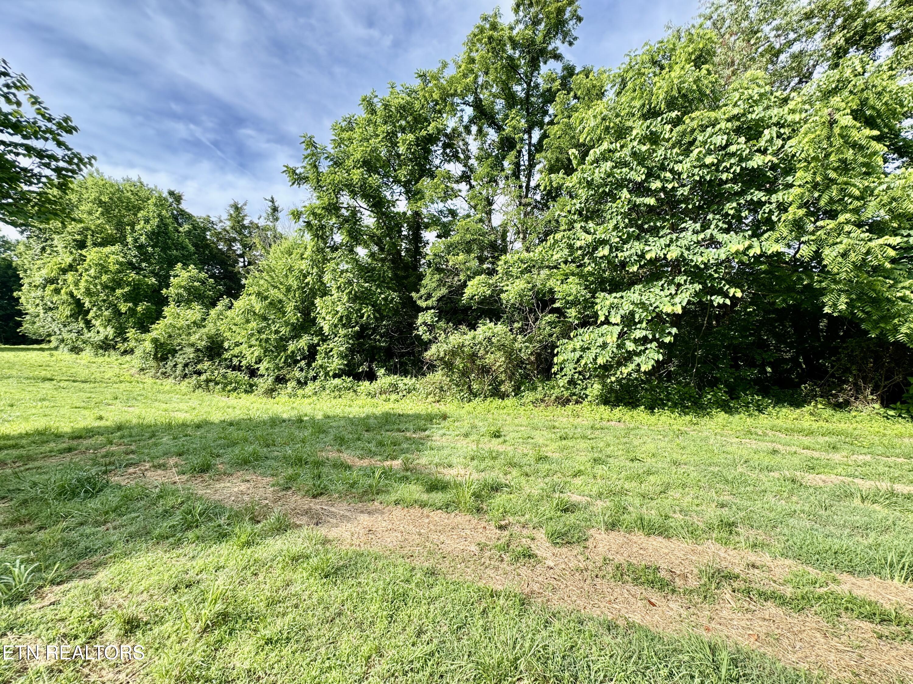 529 Peanut Road Parrottsville TN 37843