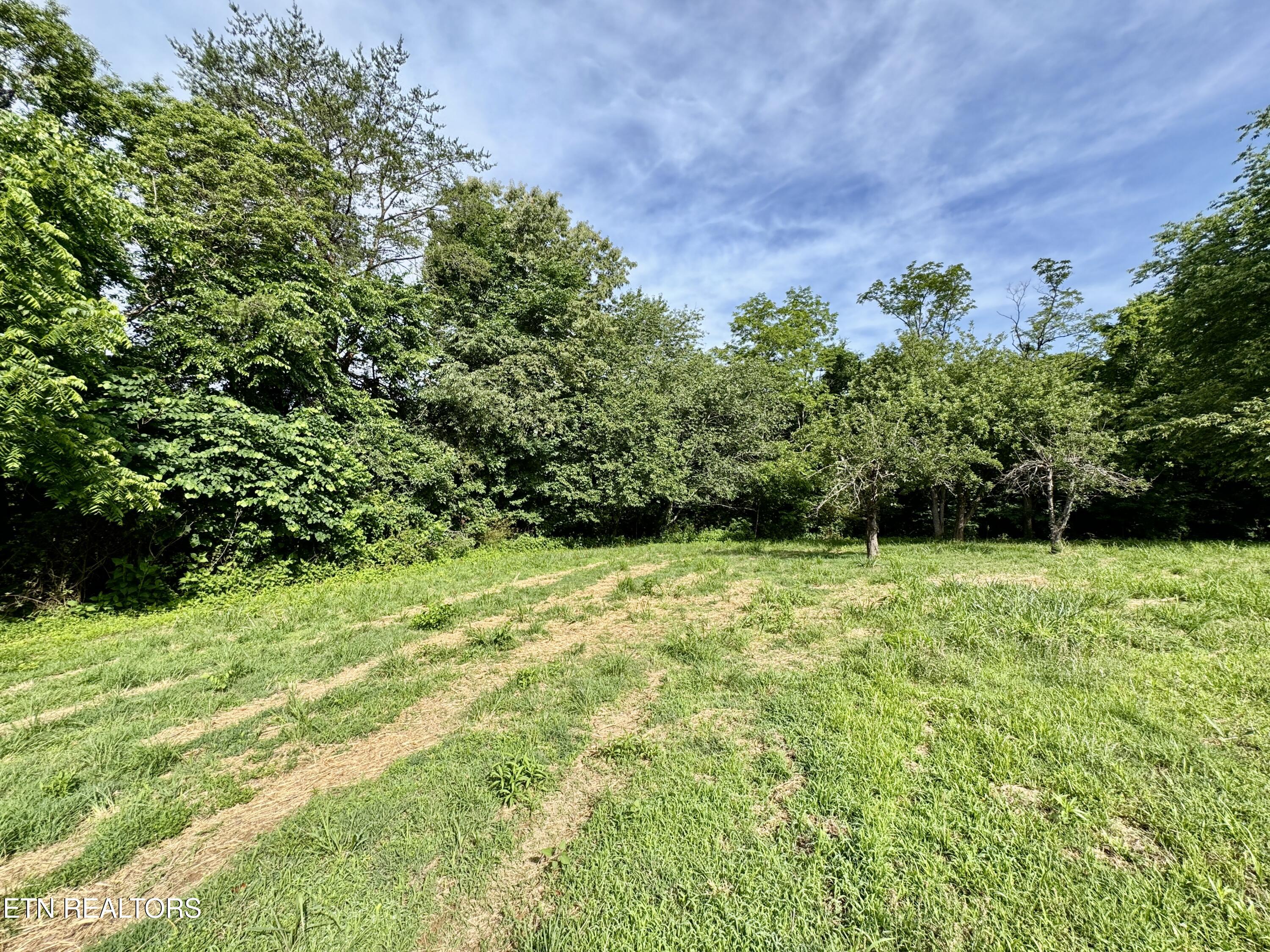 529 Peanut Road Parrottsville TN 37843