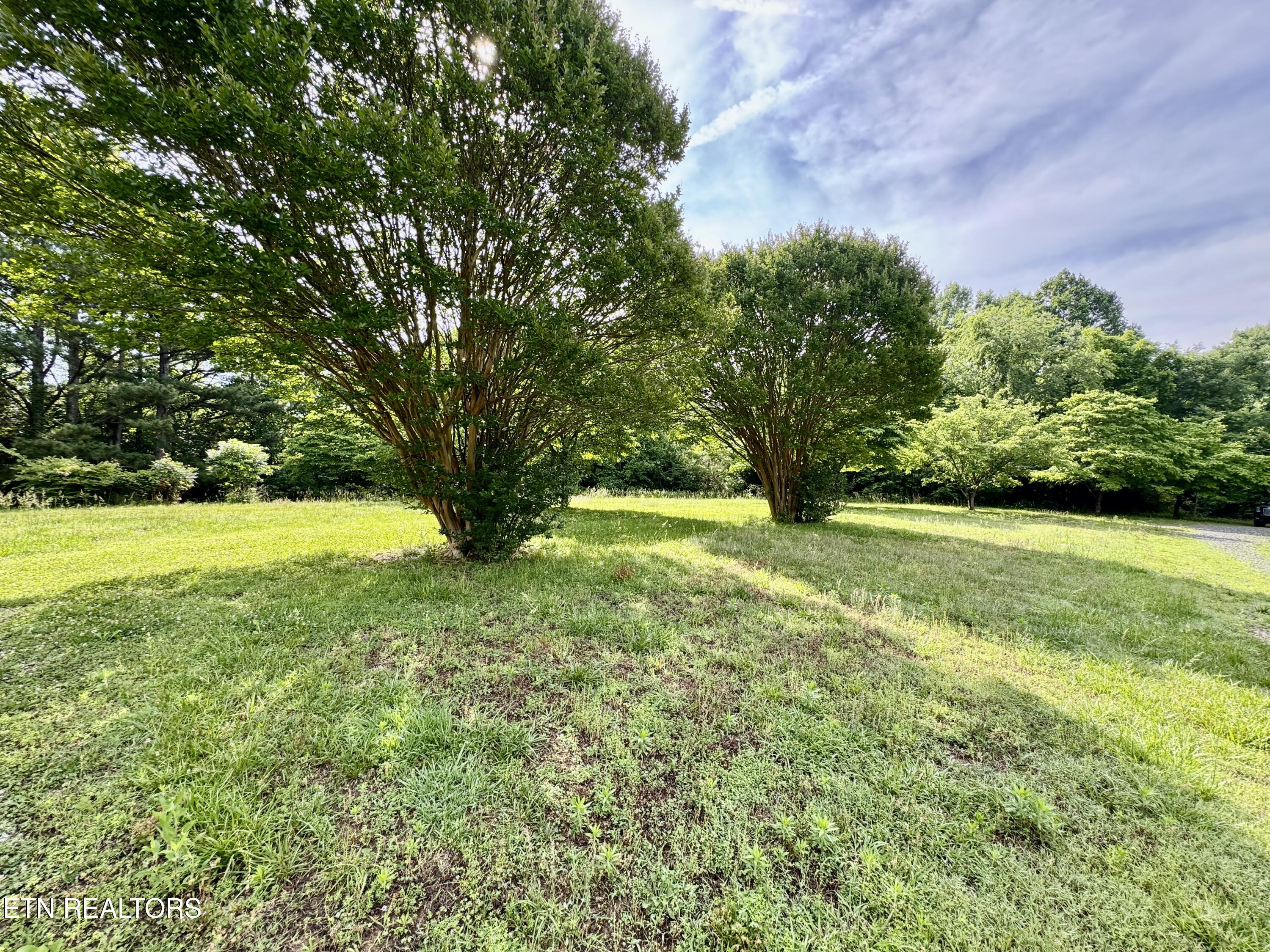 529 Peanut Road Parrottsville TN 37843