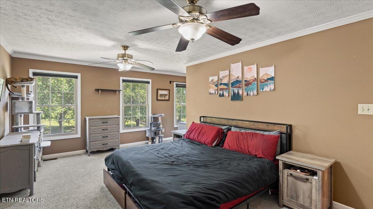 8028 Landon Park Way Powell TN 37849