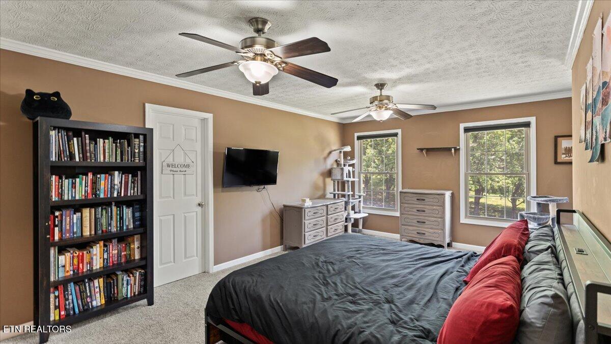 8028 Landon Park Way Powell TN 37849