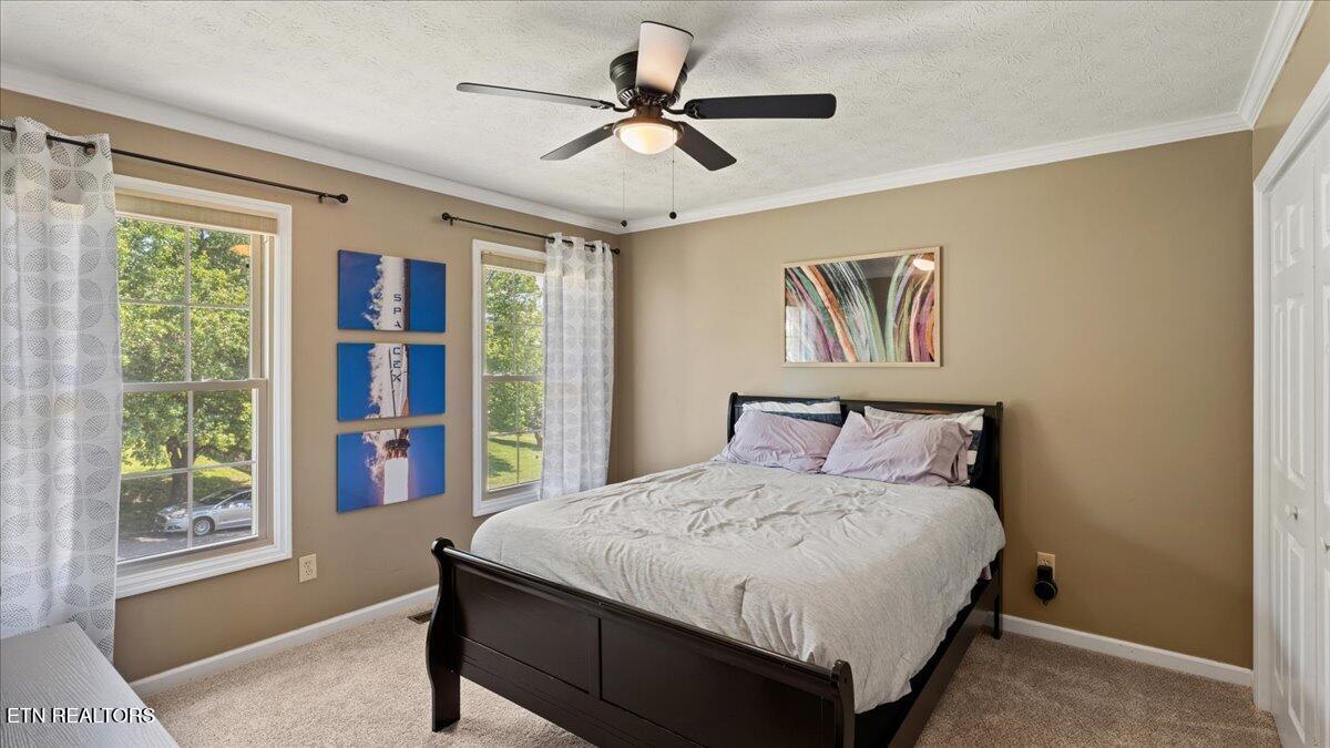 8028 Landon Park Way Powell TN 37849