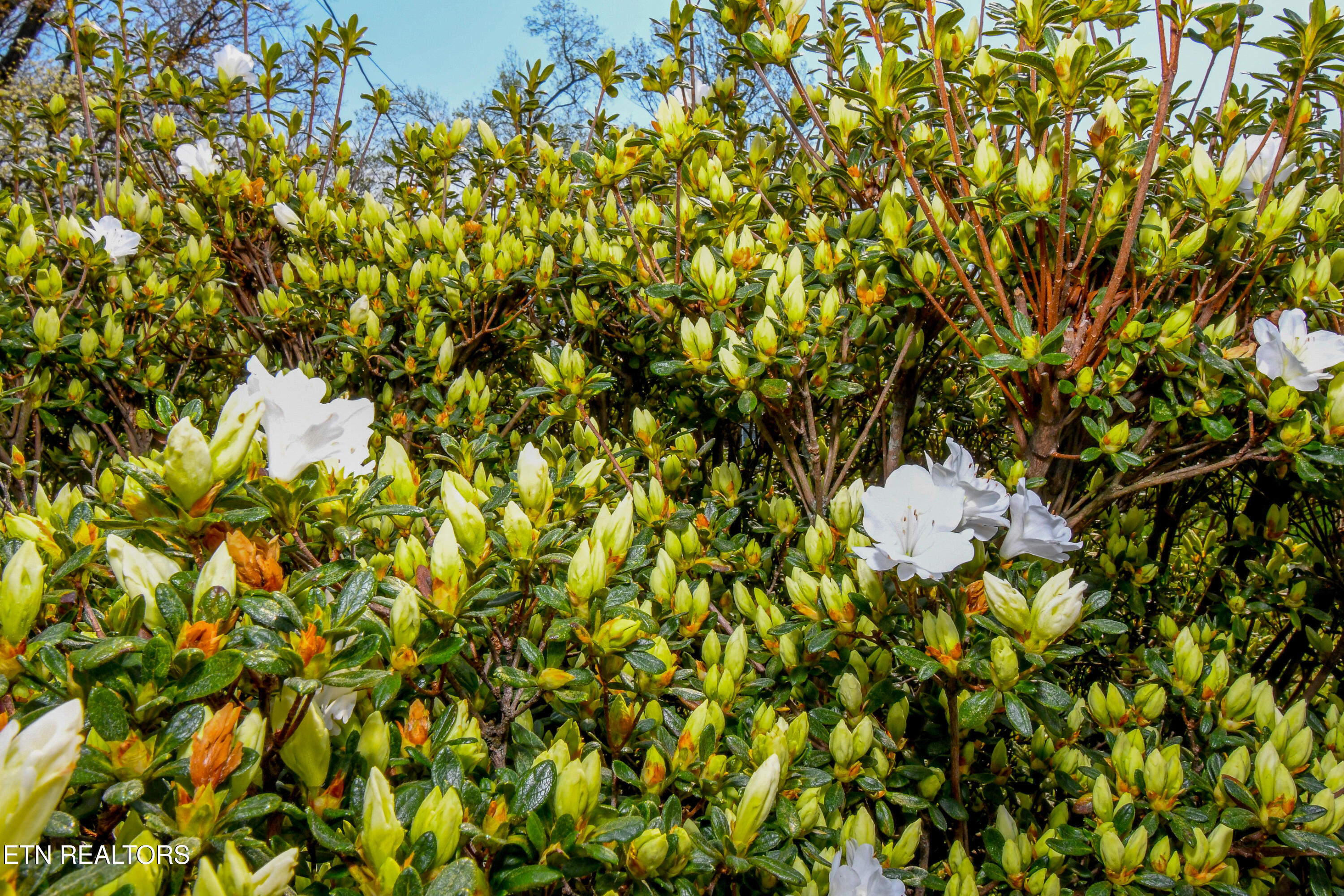 3014 Sanderson Road Knoxville TN 37921