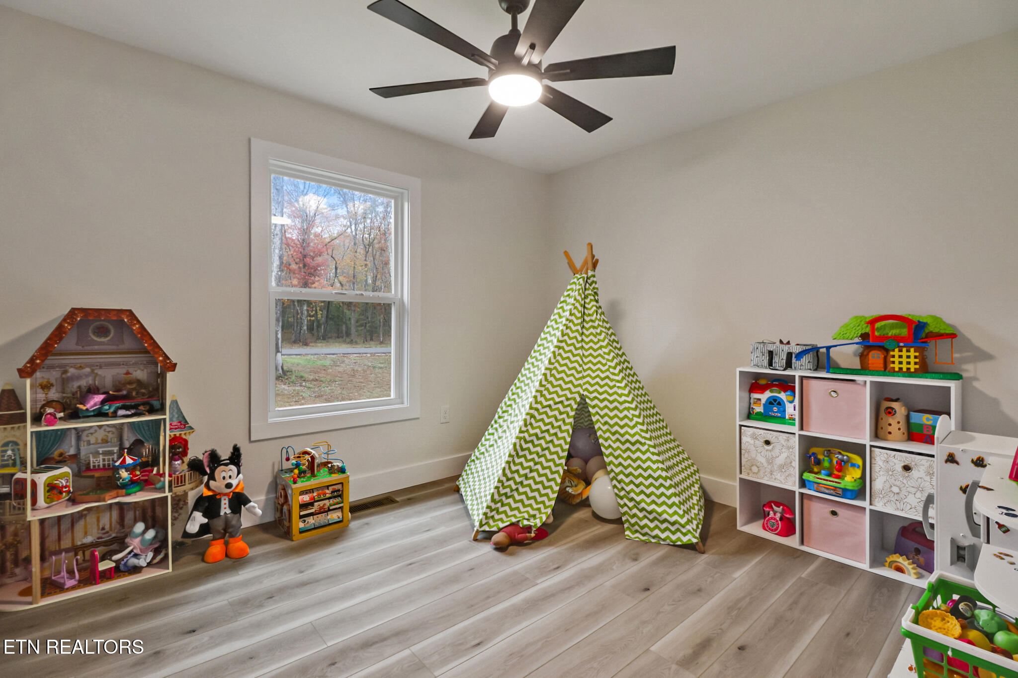 172 Creekview Court Jamestown TN 38556
