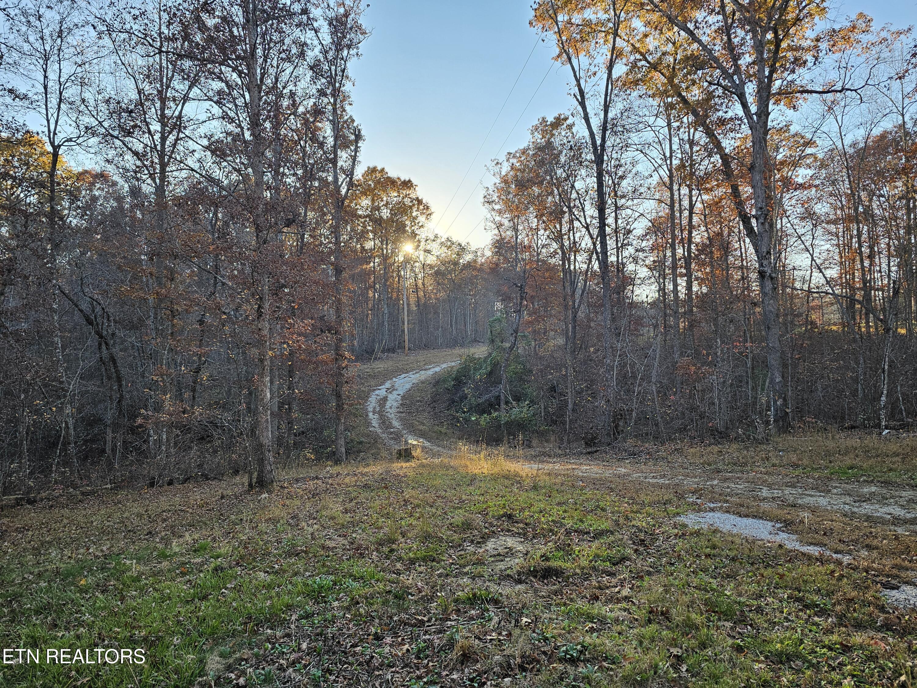 196 Red Hill Road Sunbright TN 37872