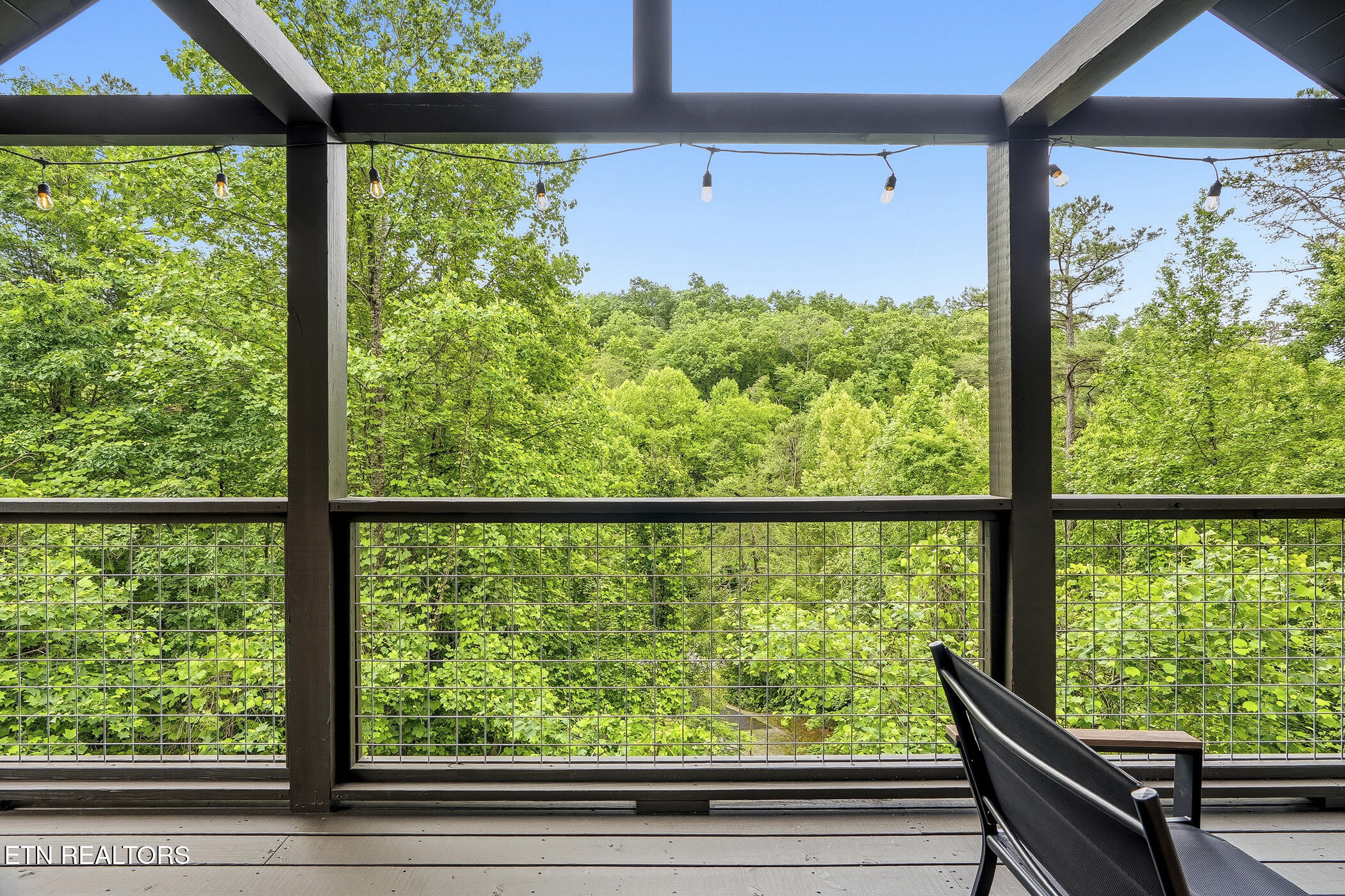 1642 Lake Drive Gatlinburg TN 37738