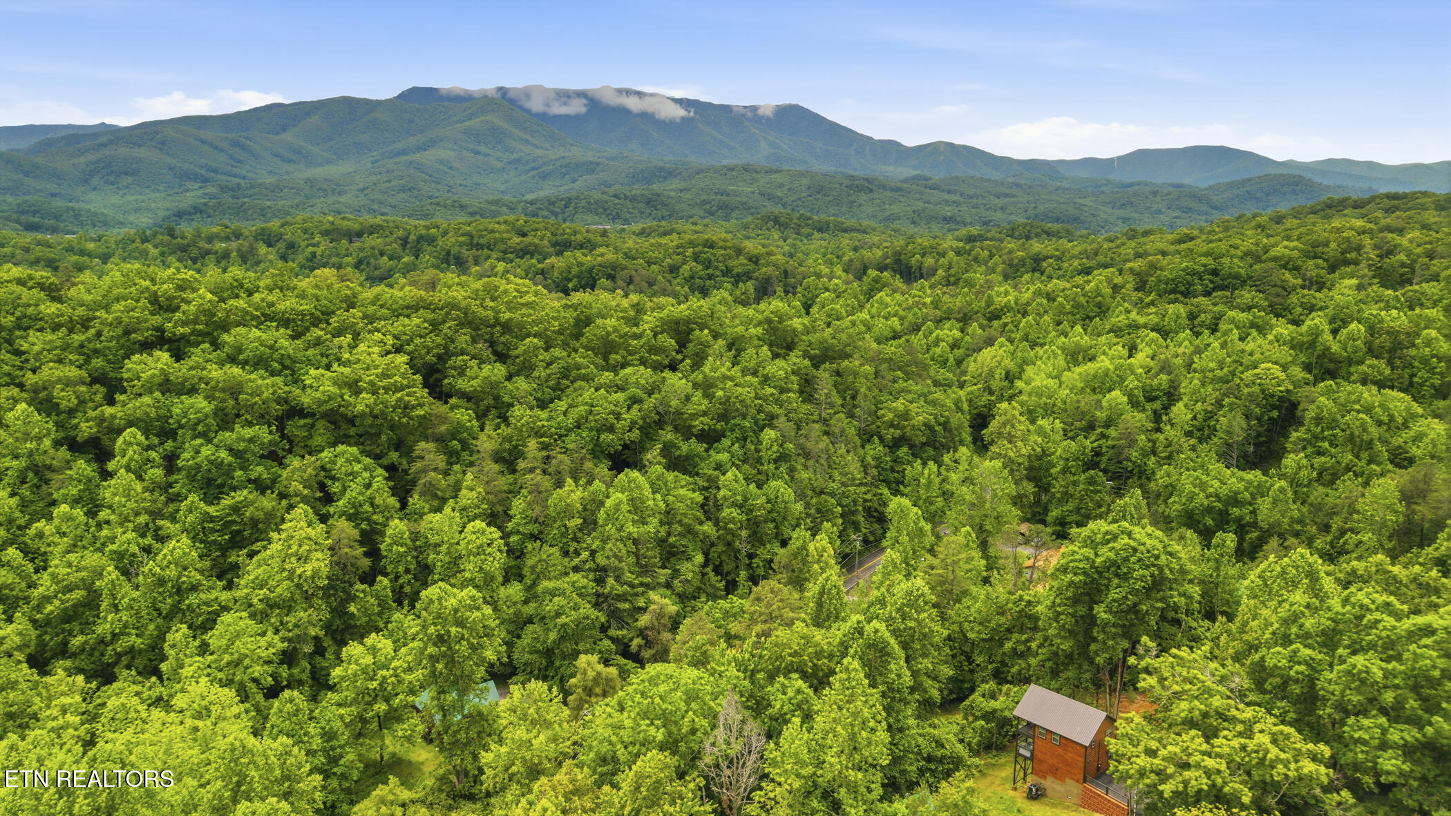 1642 Lake Drive Gatlinburg TN 37738