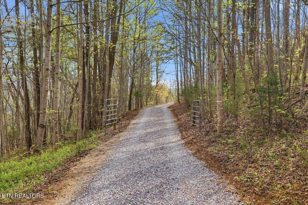 542 Jackson Hollow Road Thorn Hill TN 37881