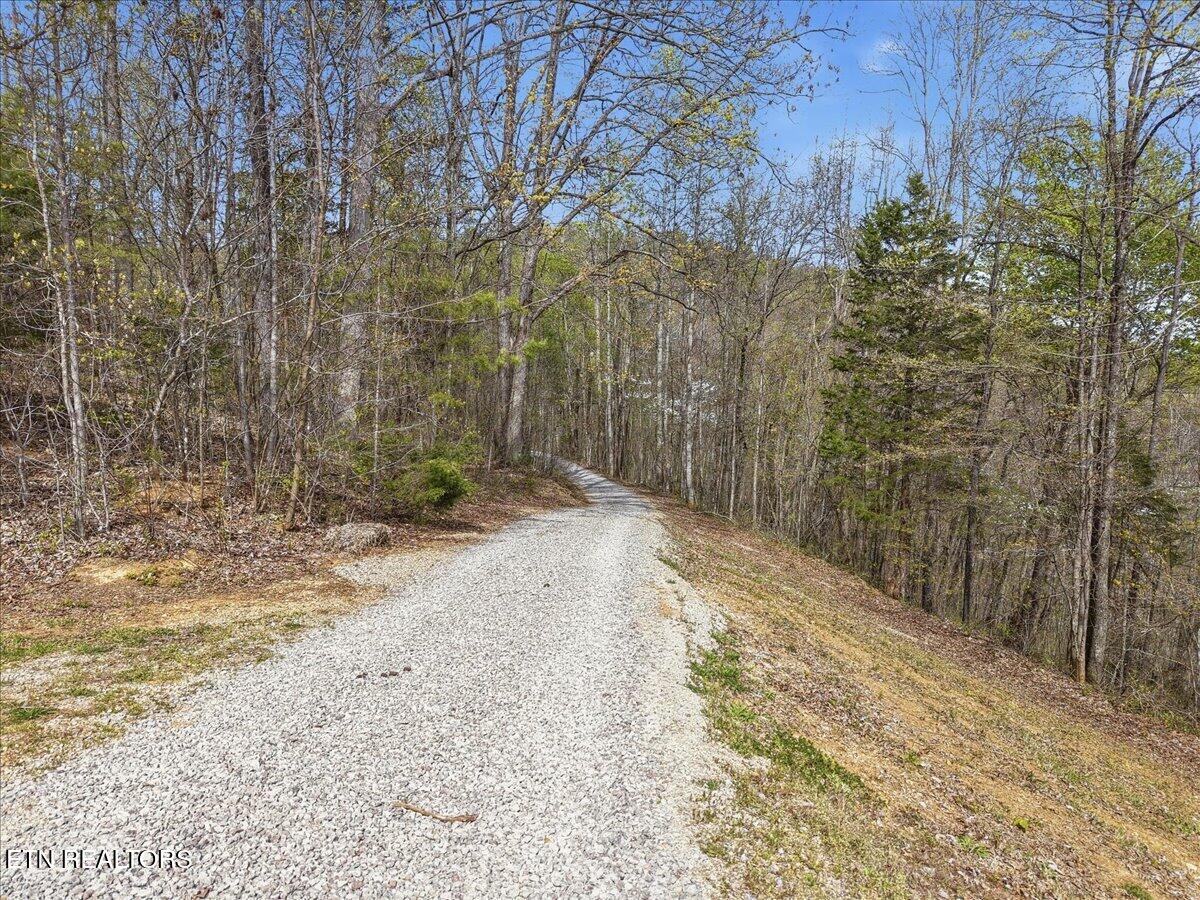 542 Jackson Hollow Road Thorn Hill TN 37881