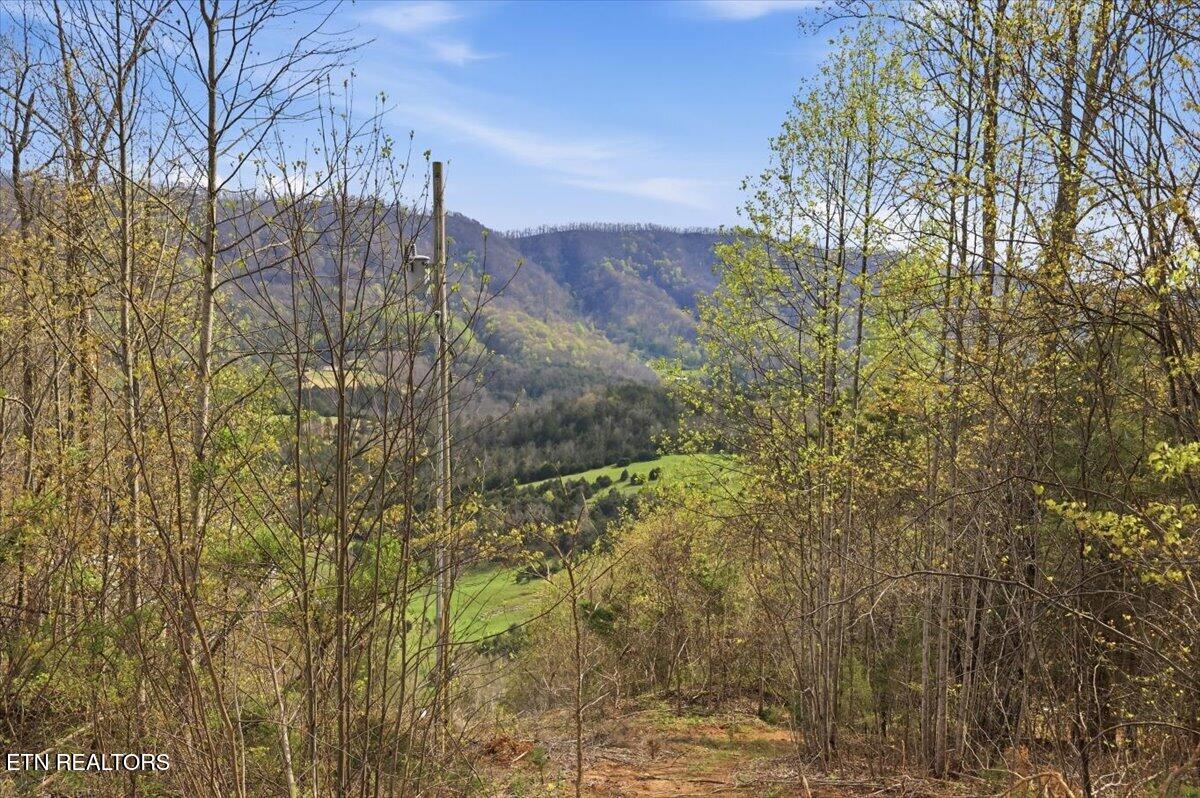 542 Jackson Hollow Road Thorn Hill TN 37881