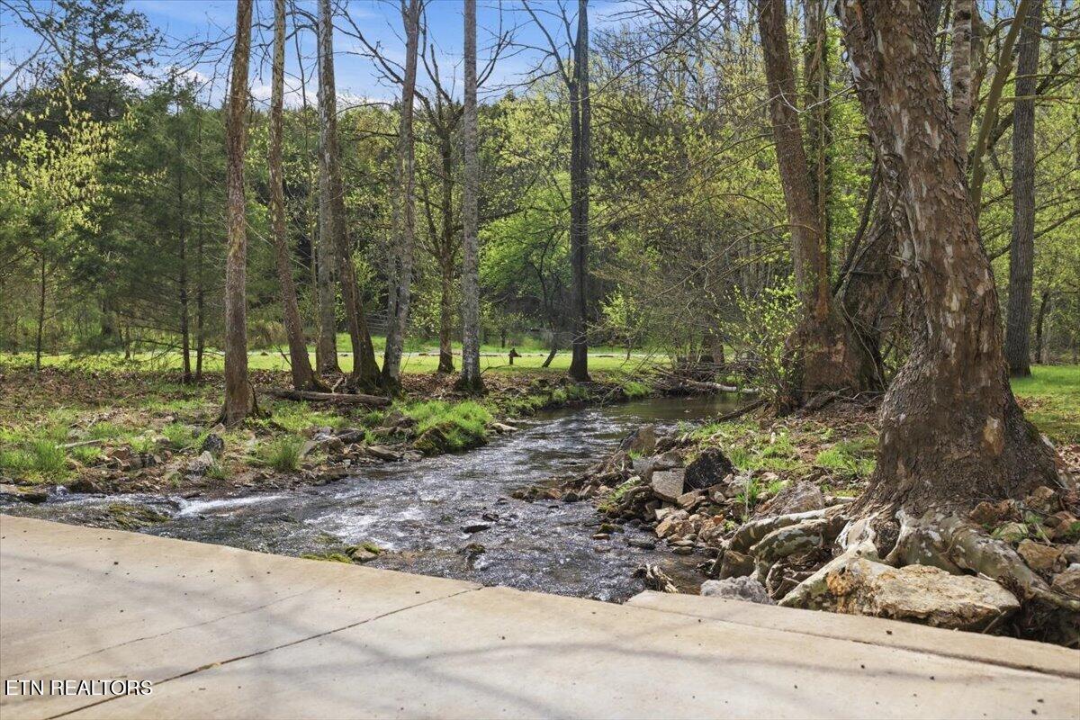 542 Jackson Hollow Road Thorn Hill TN 37881