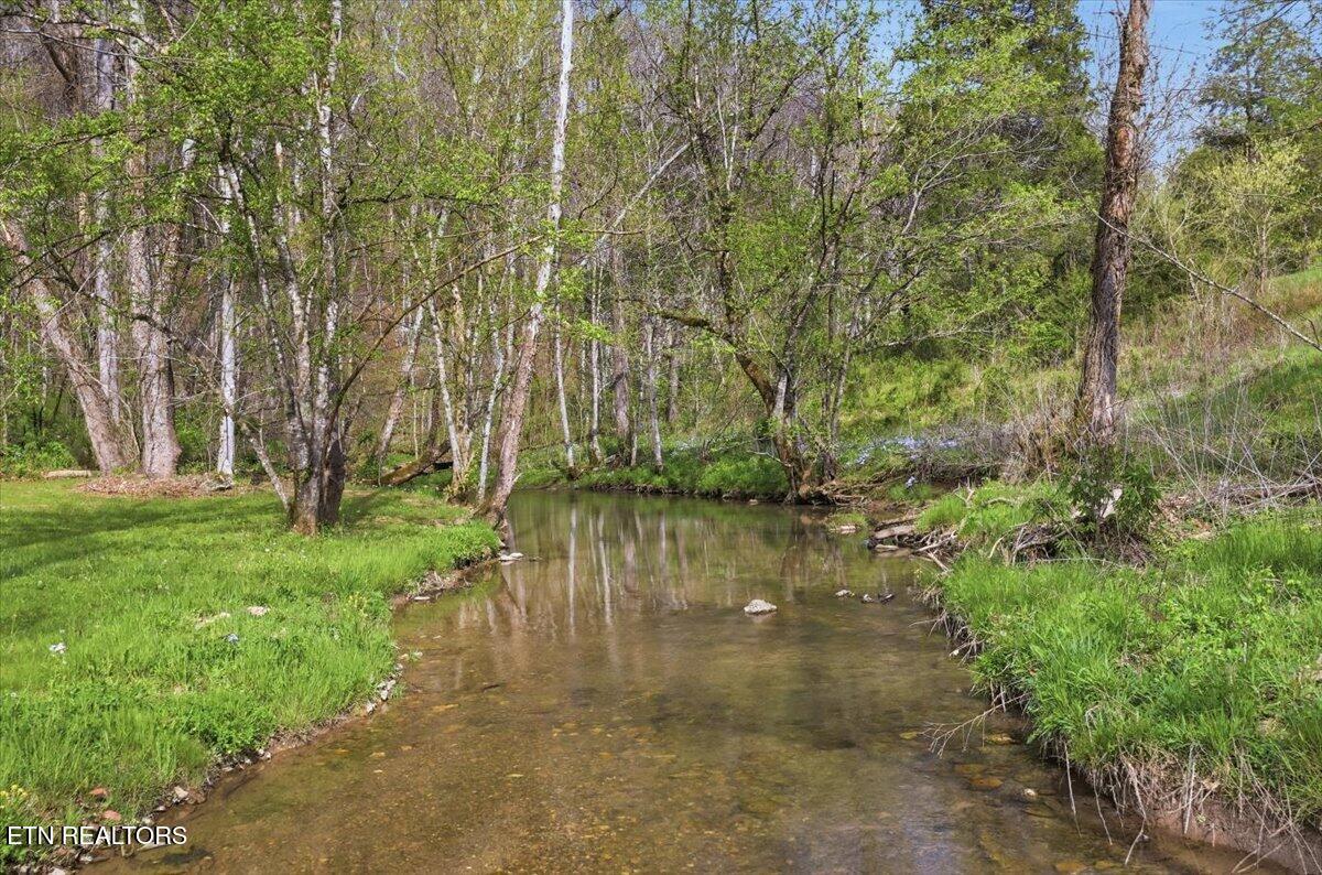 542 Jackson Hollow Road Thorn Hill TN 37881